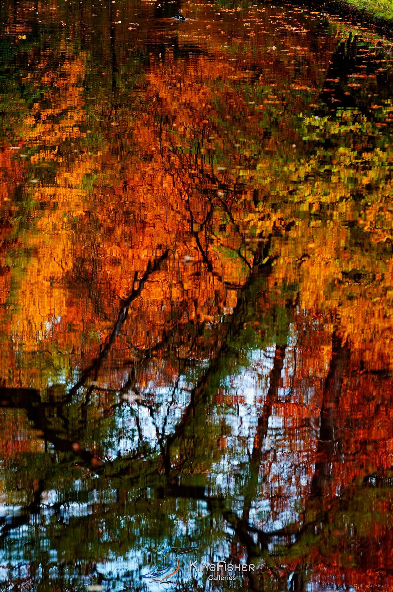 026_DST_Colours_Of_Autumn_P.jpg