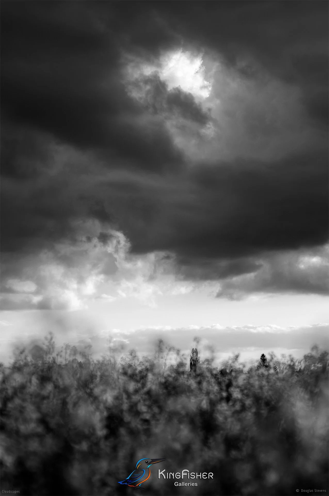 058_DST_Cloudscapes_2012_P_BW.jpg