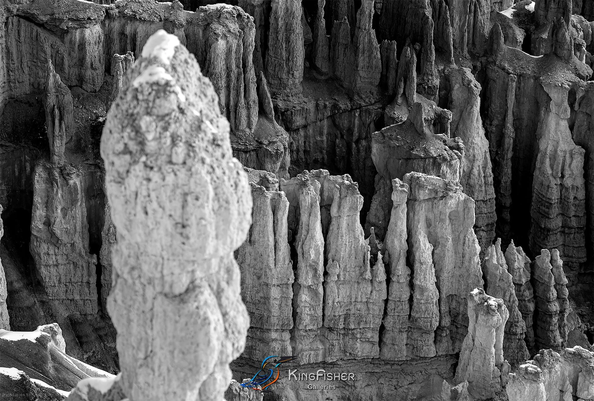 018_DST_Bryce_Canyon_NP_UT_USA_2012_L_BW.jpg