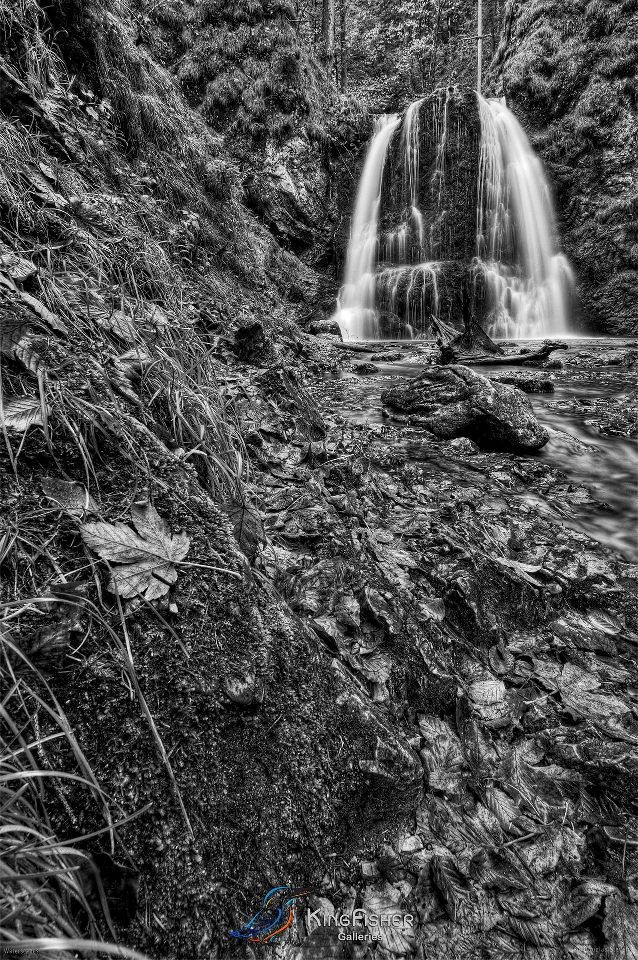 005_DST_The_Power_Of_Water_P_BW.jpg