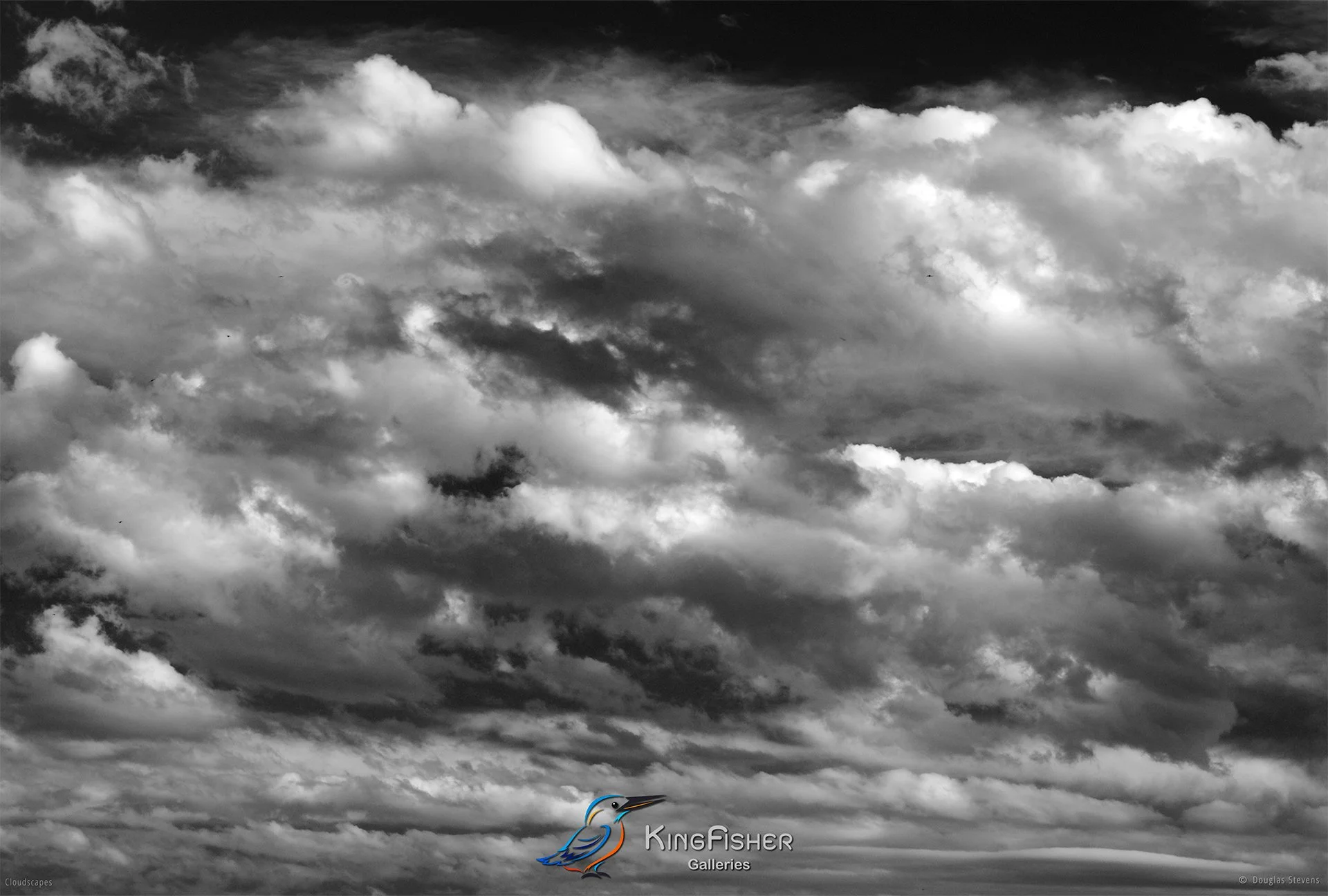 023_DST_Cloudscapes_2010_L_BW.jpg