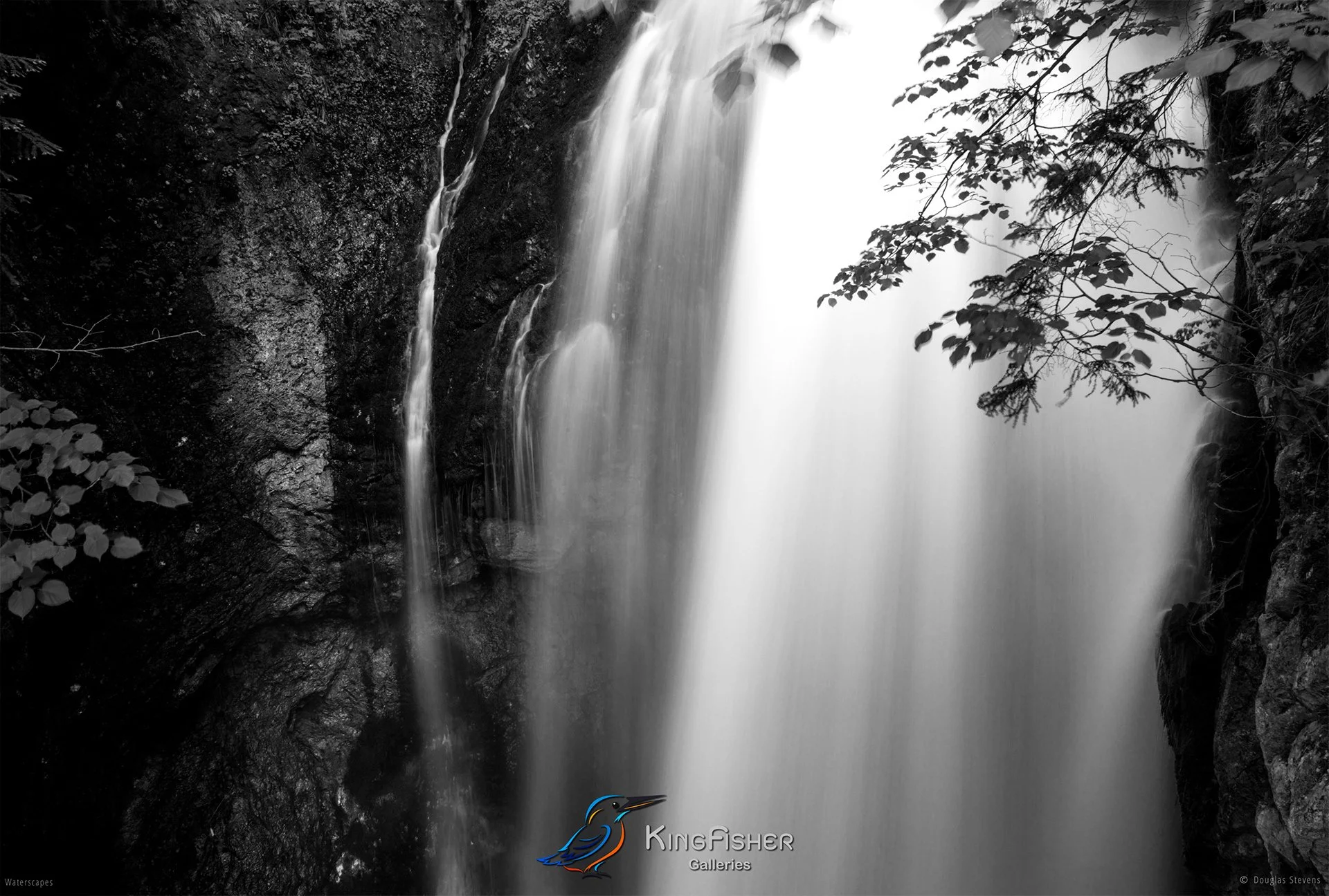 070_DST_The_Power_Of_Water_L_BW.jpg
