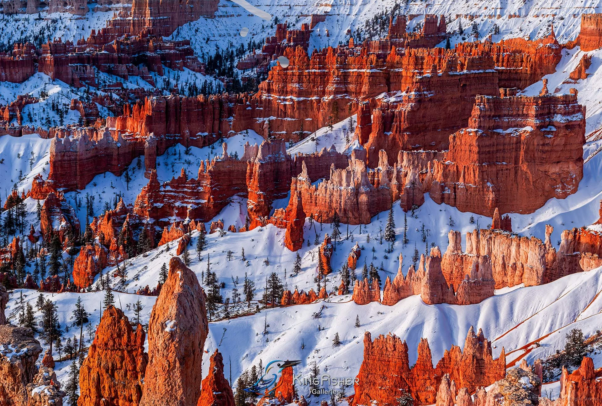 054_DST_Bryce_Canyon_NP_UT_USA_2012_L.jpg