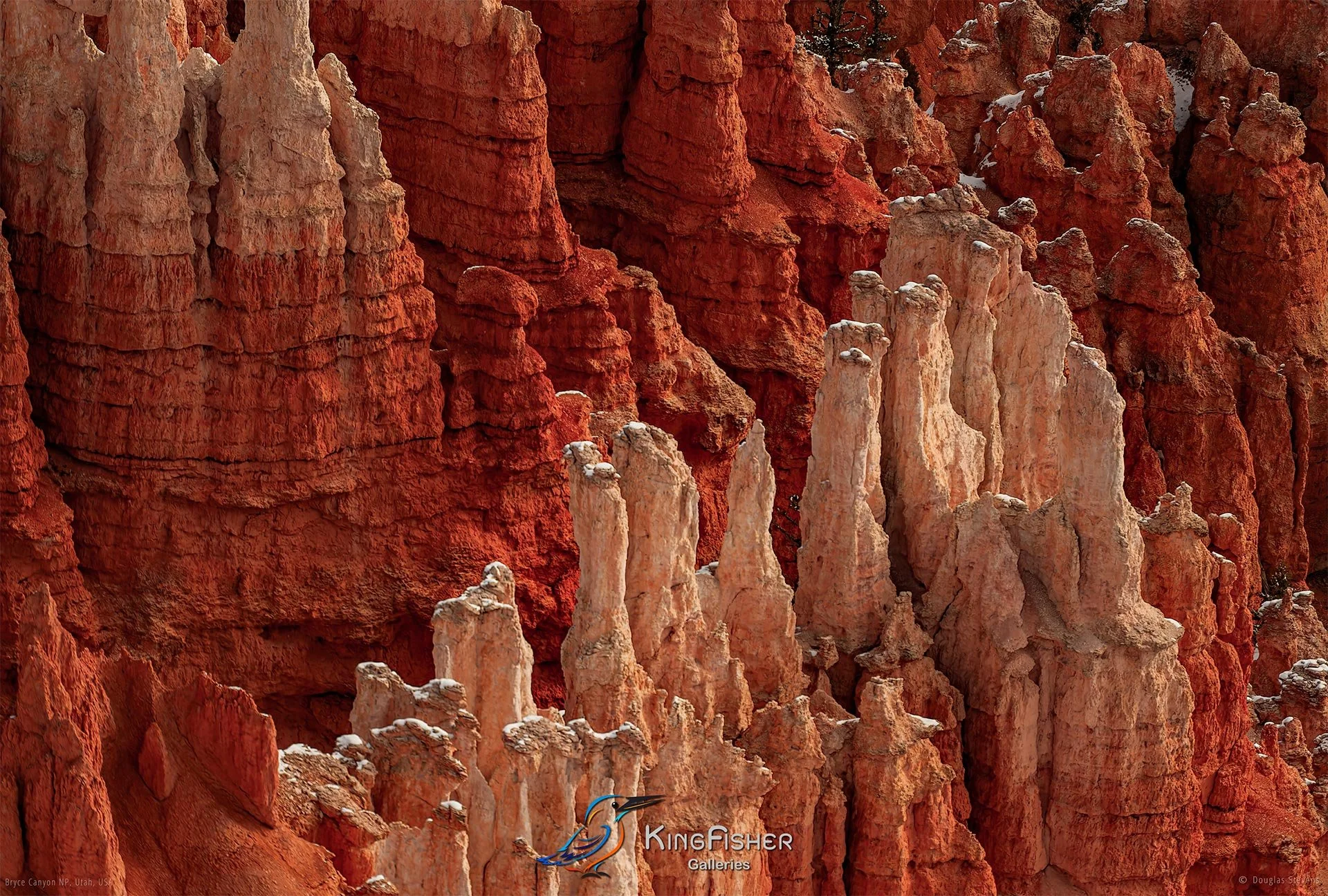 010_DST_Bryce_Canyon_NP_UT_USA_2012_L.jpg