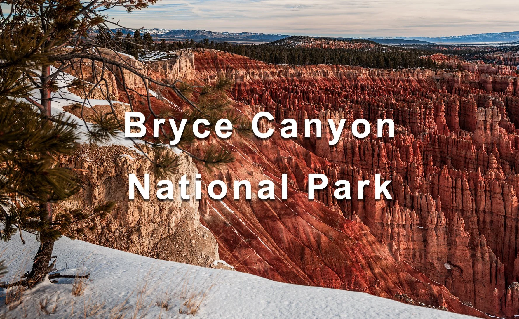 _0003_USA_SW_Utah_Bryce_Gallery_Thumb_1800x1100px.jpg