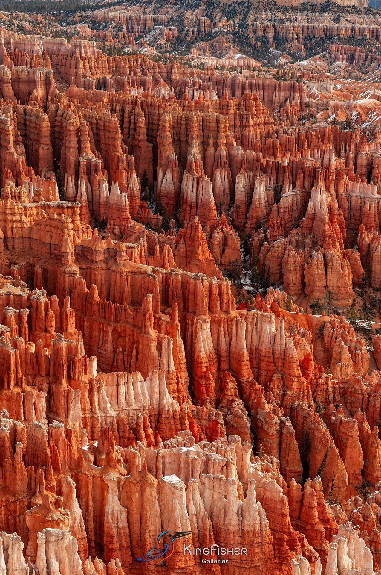 027_DST_Bryce_Canyon_NP_UT_USA_2012_P.jpg