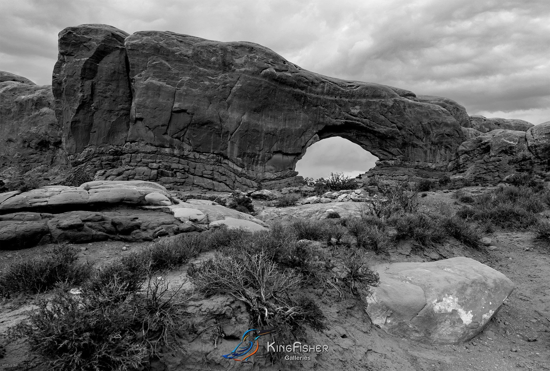 001_DST_Arches_NP_UT_USA_2012_L_BW.jpg