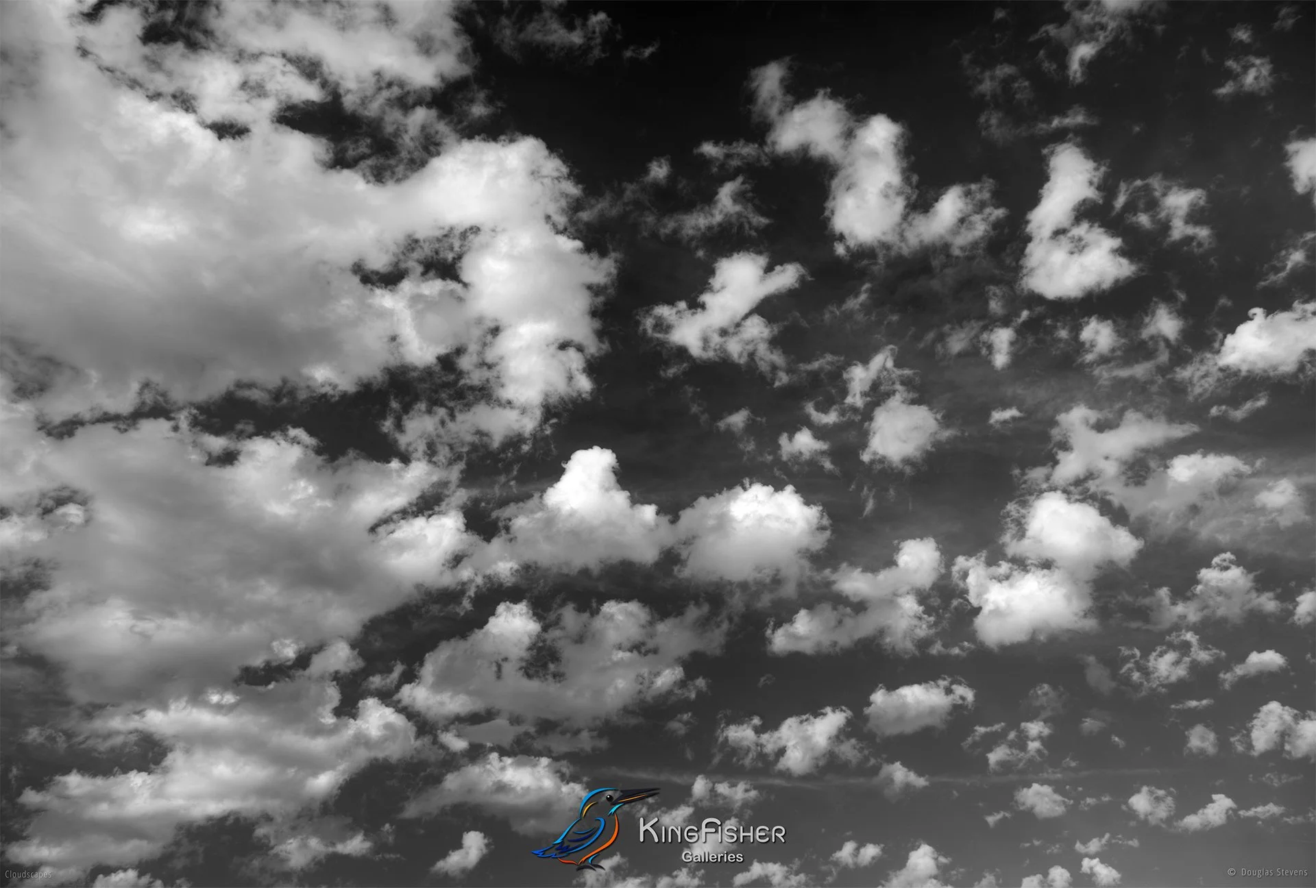 037_DST_Cloudscapes_2011_L_BW.jpg