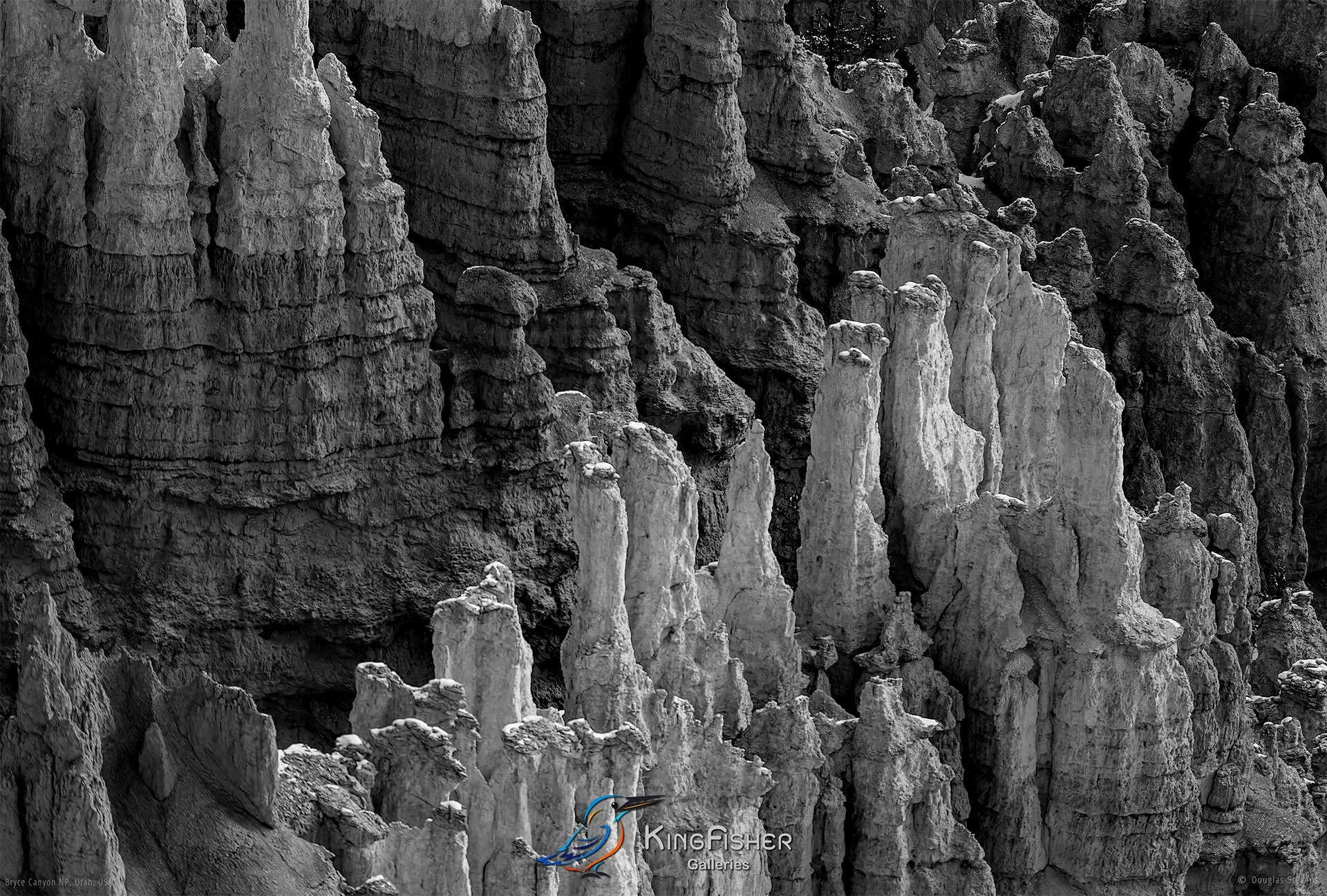 010_DST_Bryce_Canyon_NP_UT_USA_2012_L_BW.jpg