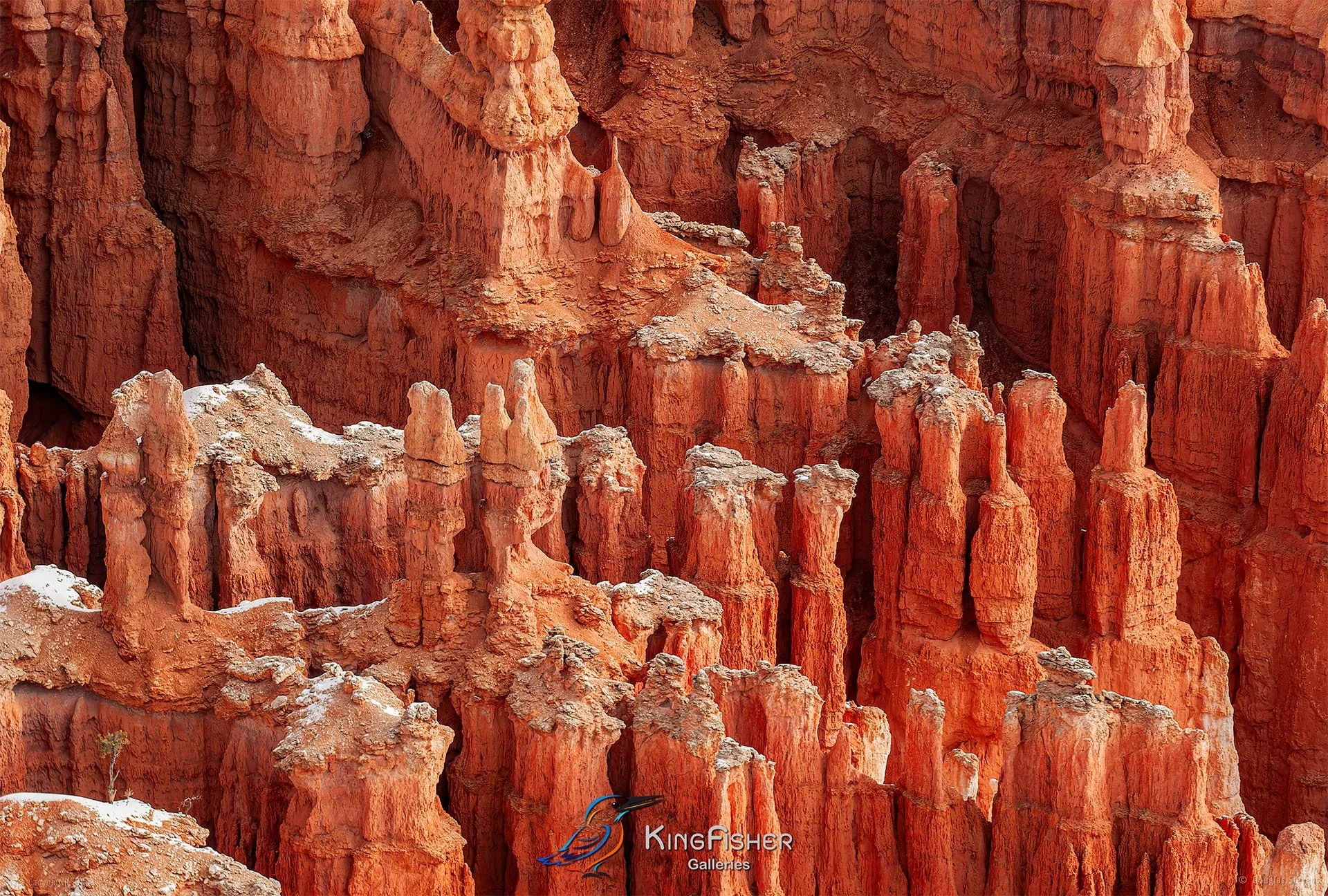 015_DST_Bryce_Canyon_NP_UT_USA_2012_L.jpg