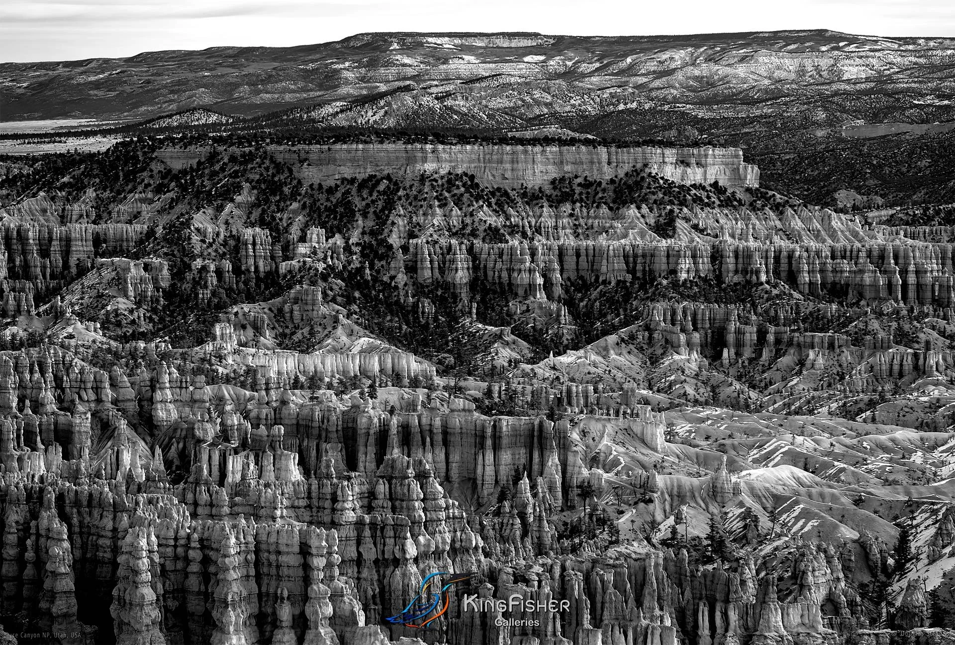 020_DST_Bryce_Canyon_NP_UT_USA_2012_L_BW.jpg