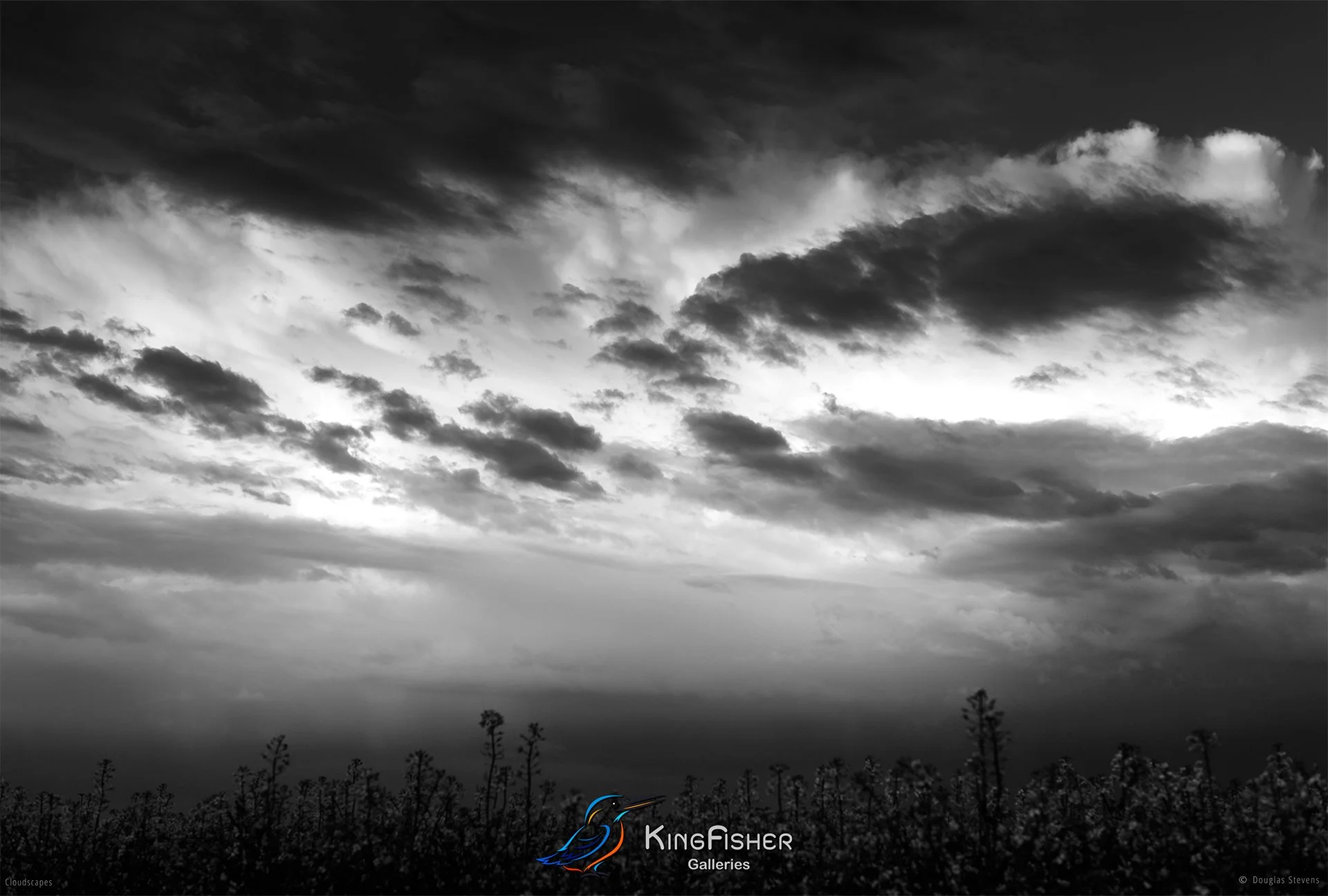 064_DST_Cloudscapes_2012_L_BW.jpg