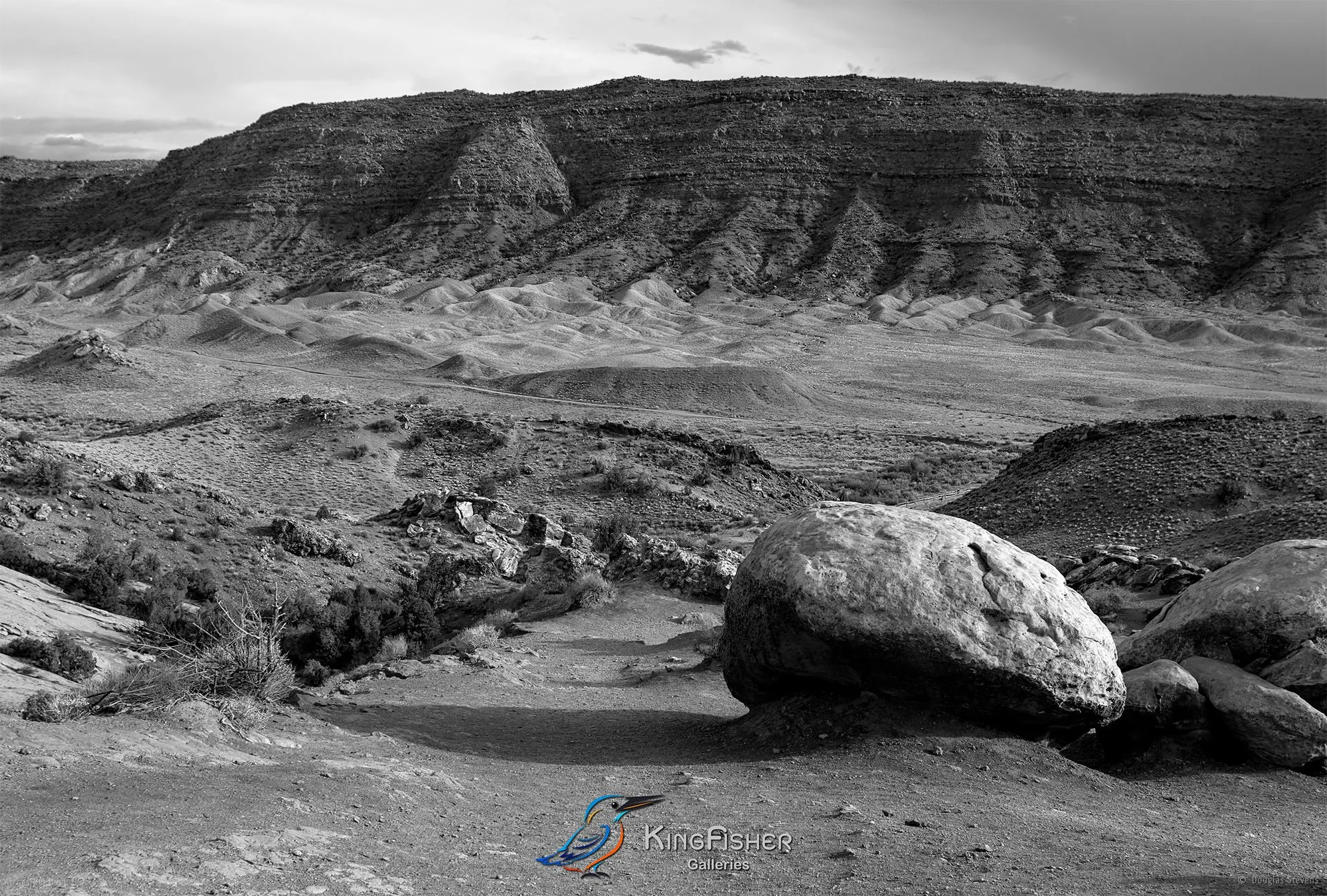 051_DST_Arches_NP_UT_USA_2012_L_BW.jpg