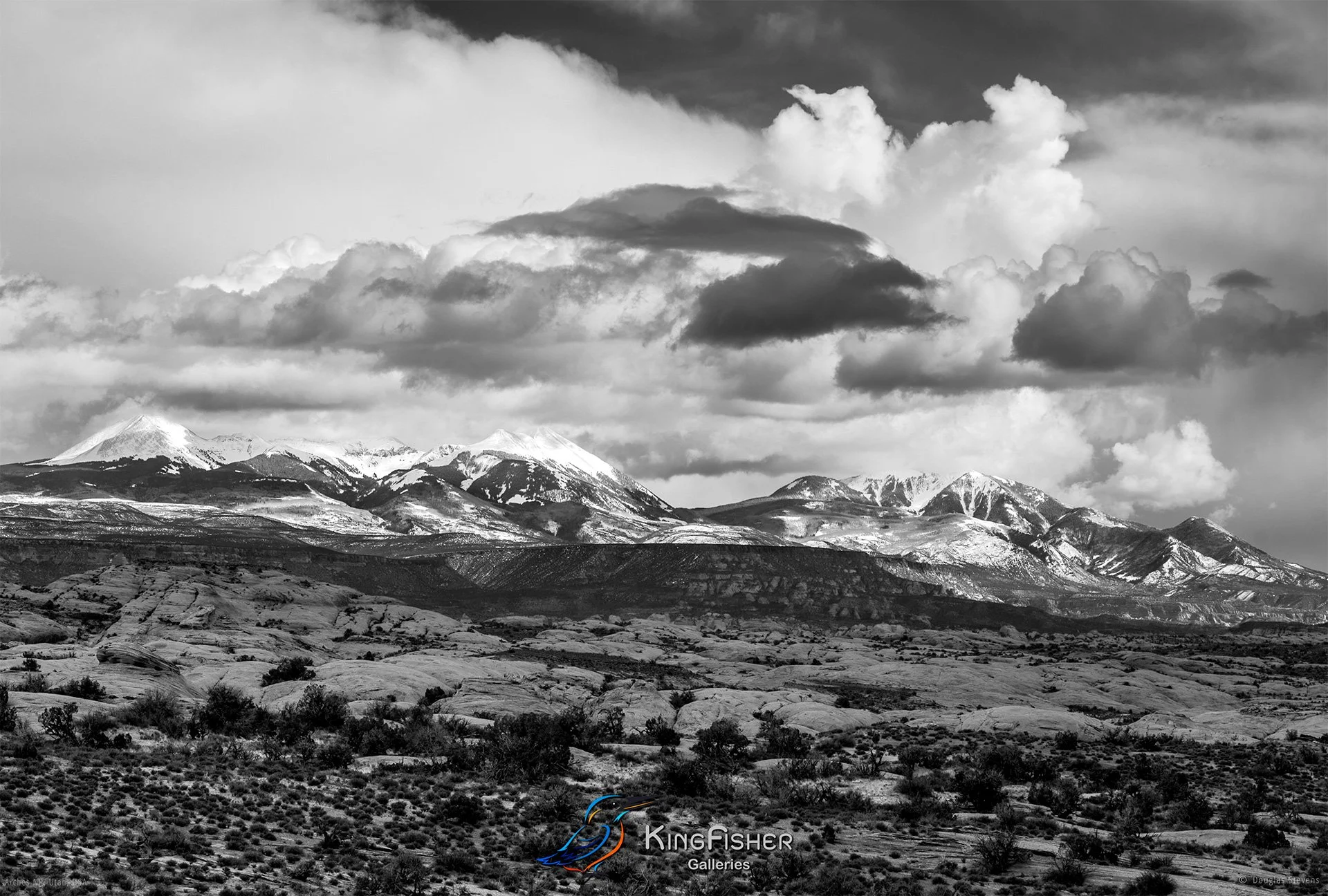 019_DST_Arches_NP_UT_USA_2012_L_BW.jpg
