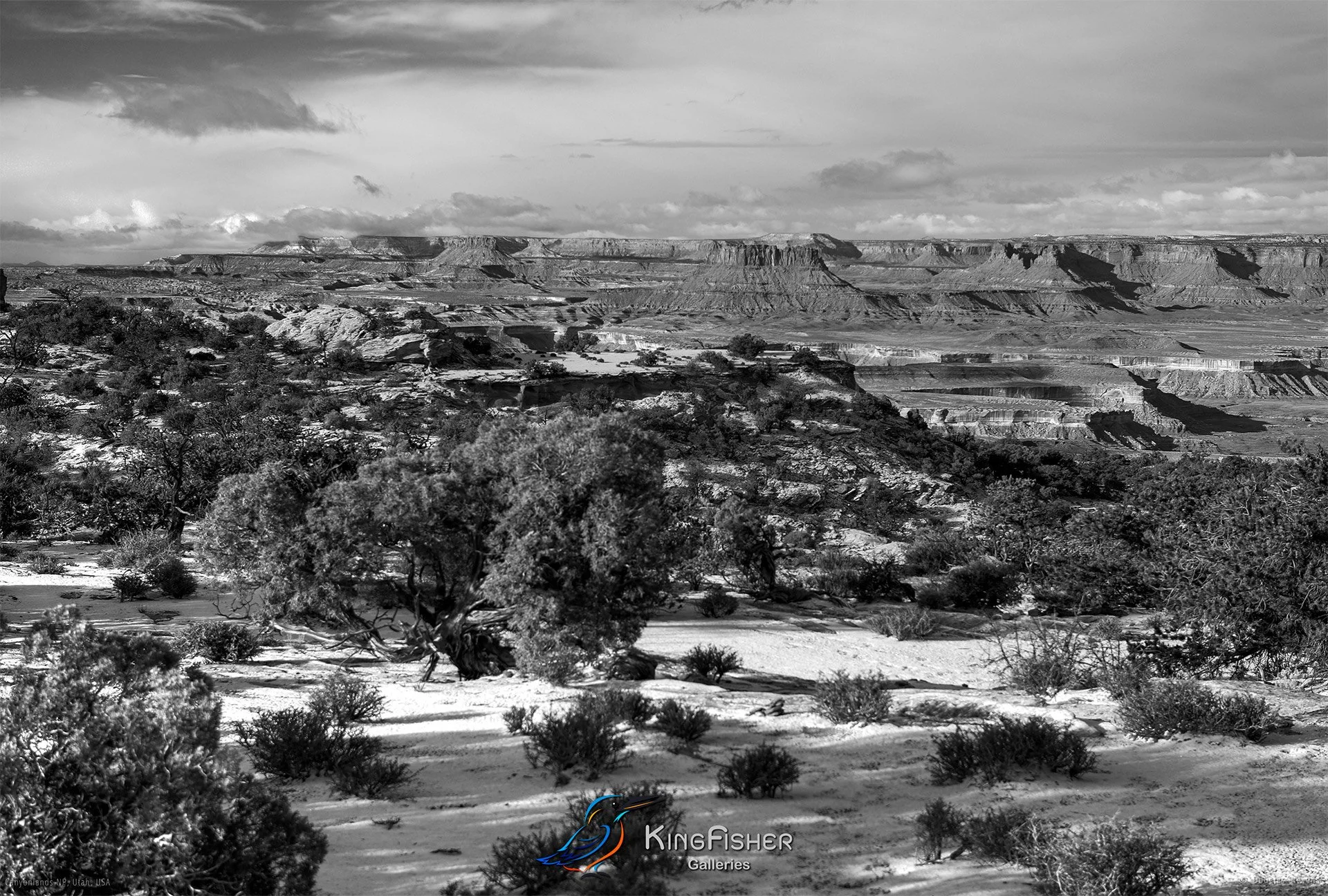 055_DST_Canyonlands_NP_UT_USA_2012_L_BW.jpg