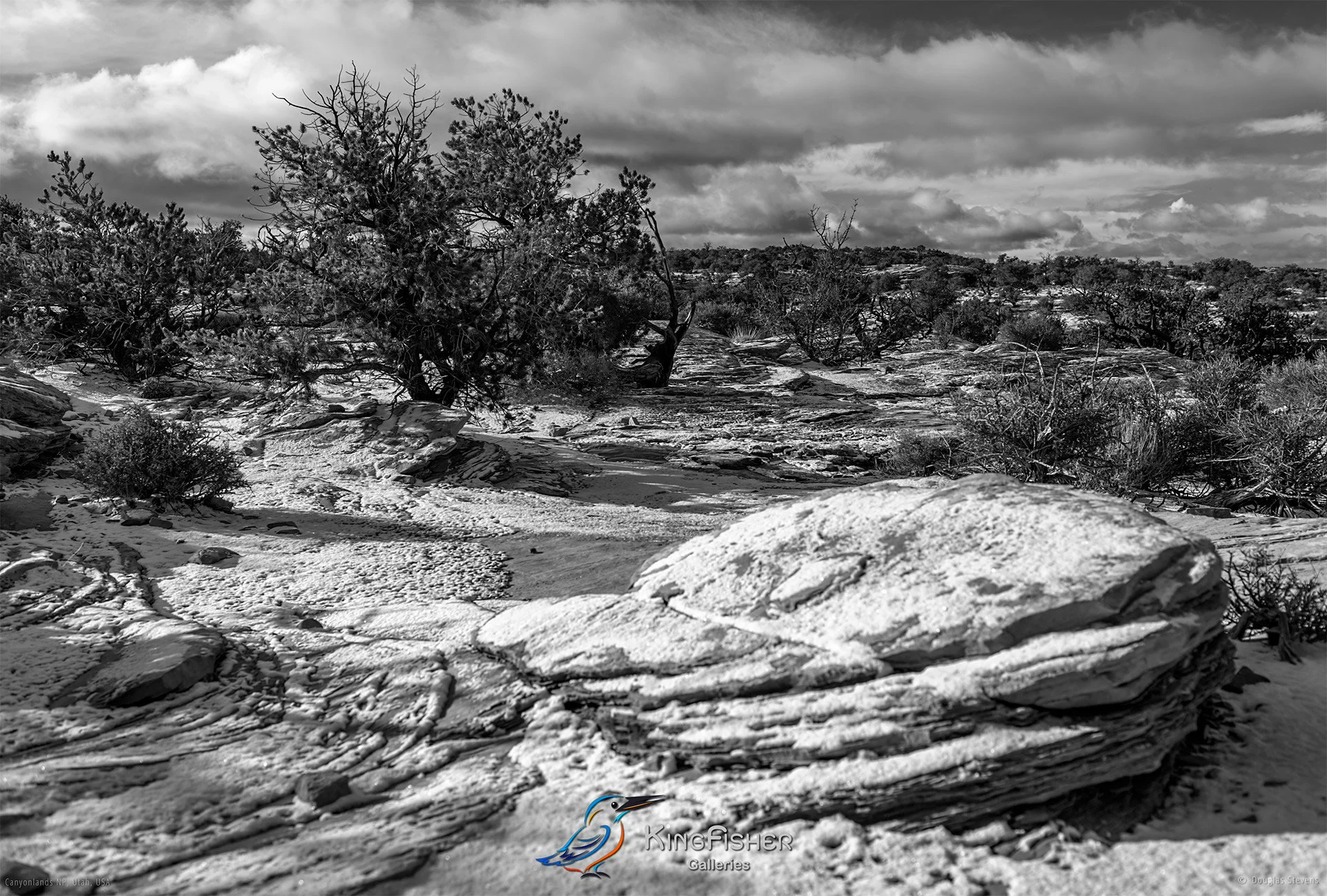 076_DST_Canyonlands_NP_UT_USA_2012_L_BWQ.jpg