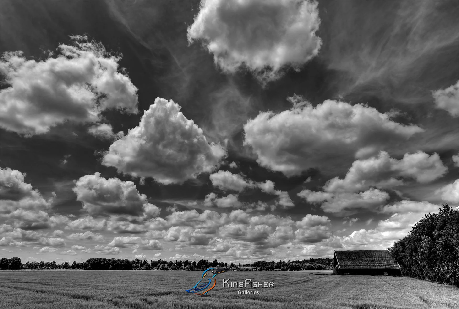112_DST_Cloudscapes_2015_L_BW.jpg