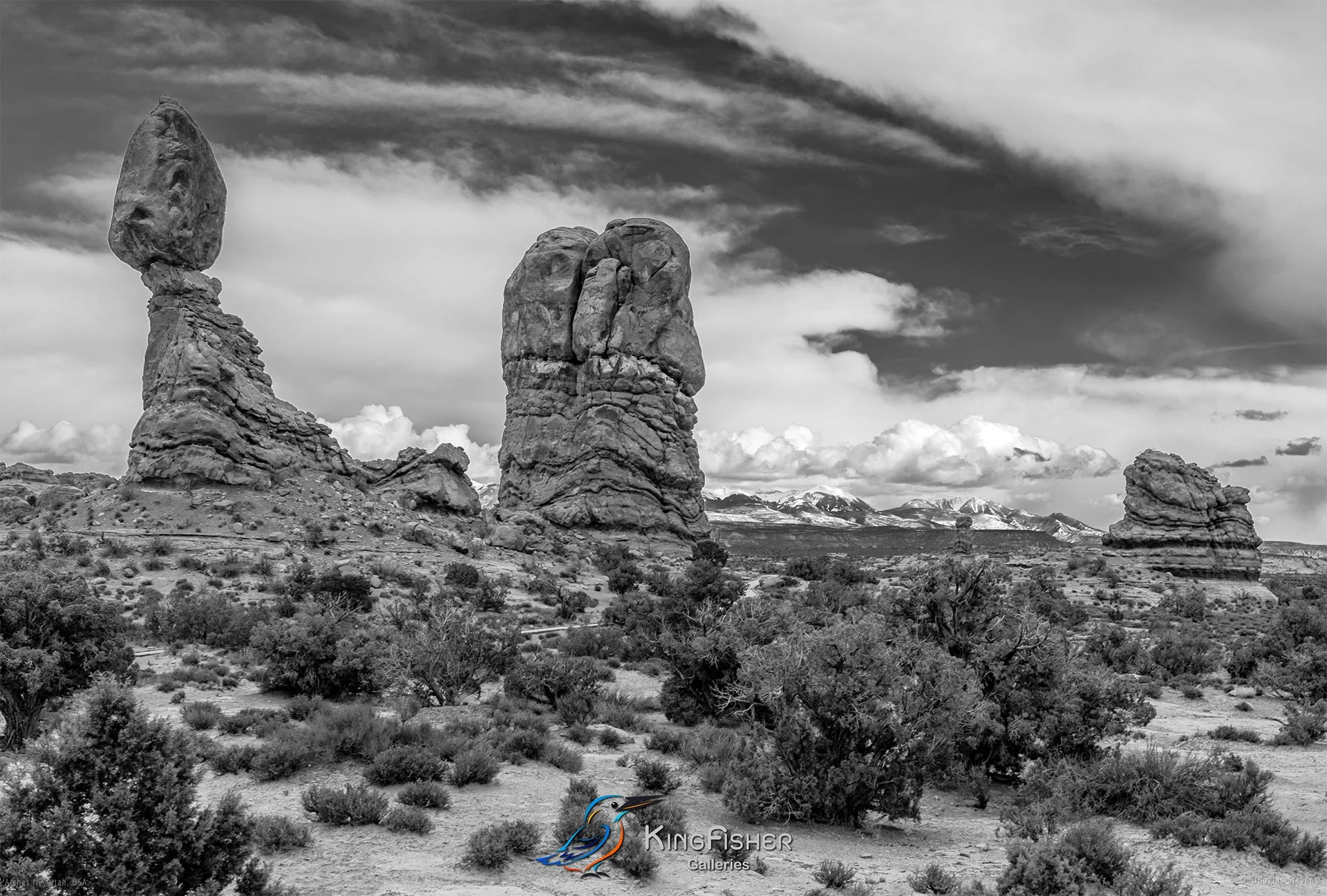 015_DST_Arches_NP_UT_USA_2012_L_BW.jpg