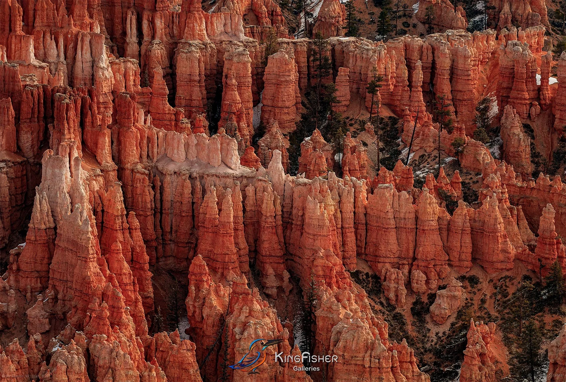 009_DST_Bryce_Canyon_NP_UT_USA_2012_L.jpg