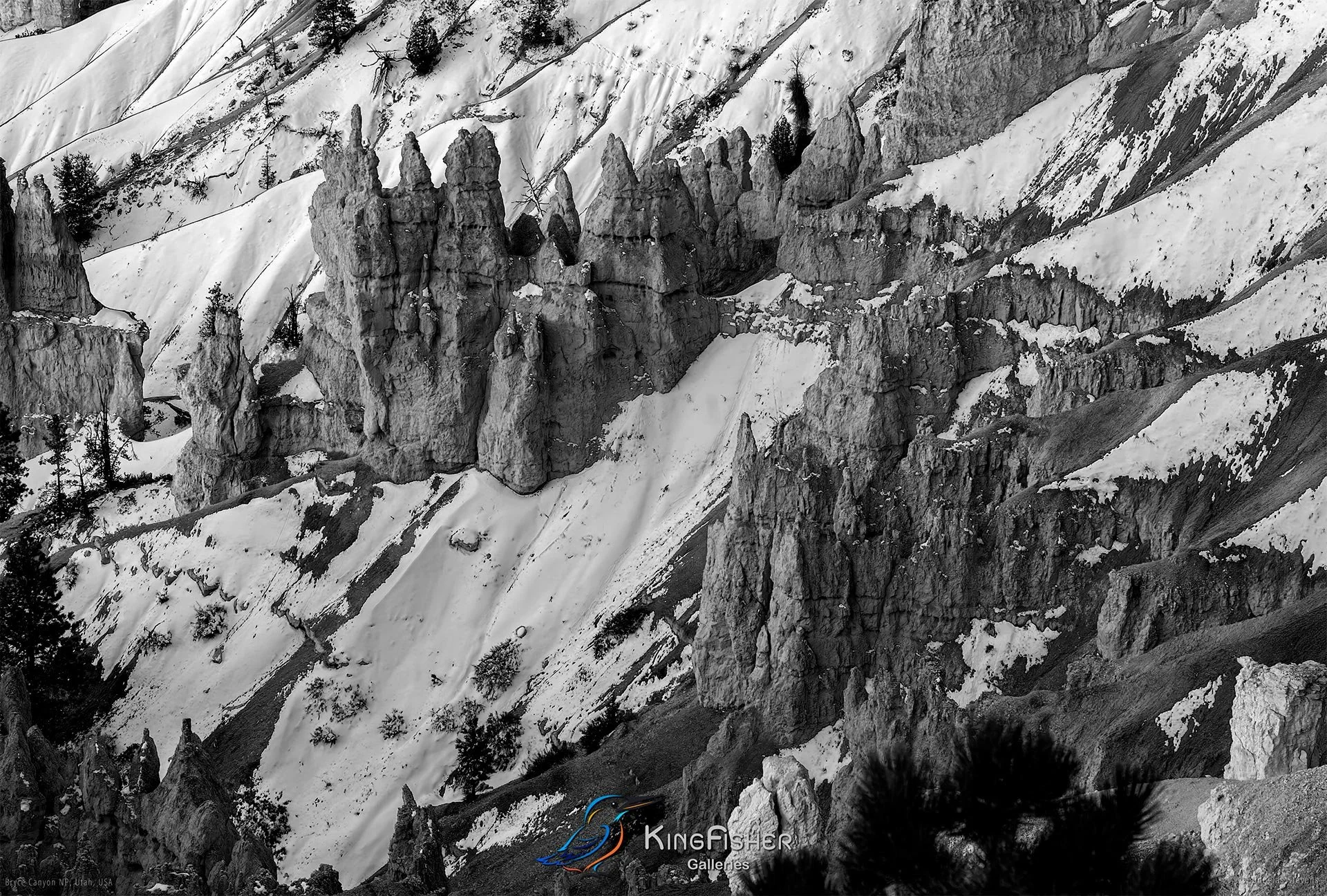 007_DST_Bryce_Canyon_NP_UT_USA_2012_L_BW.jpg