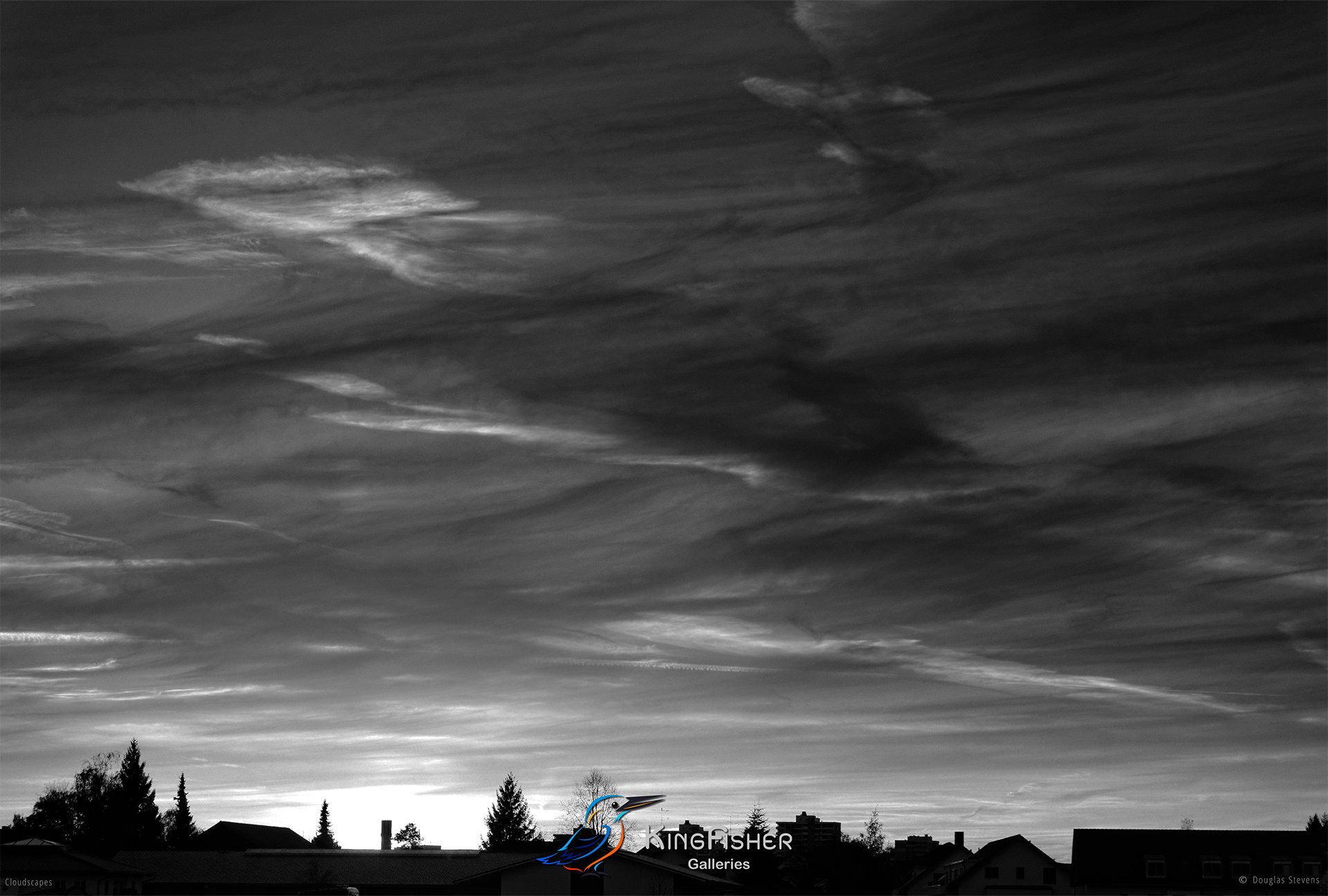103_DST_Cloudscapes_2014_L_BW.jpg