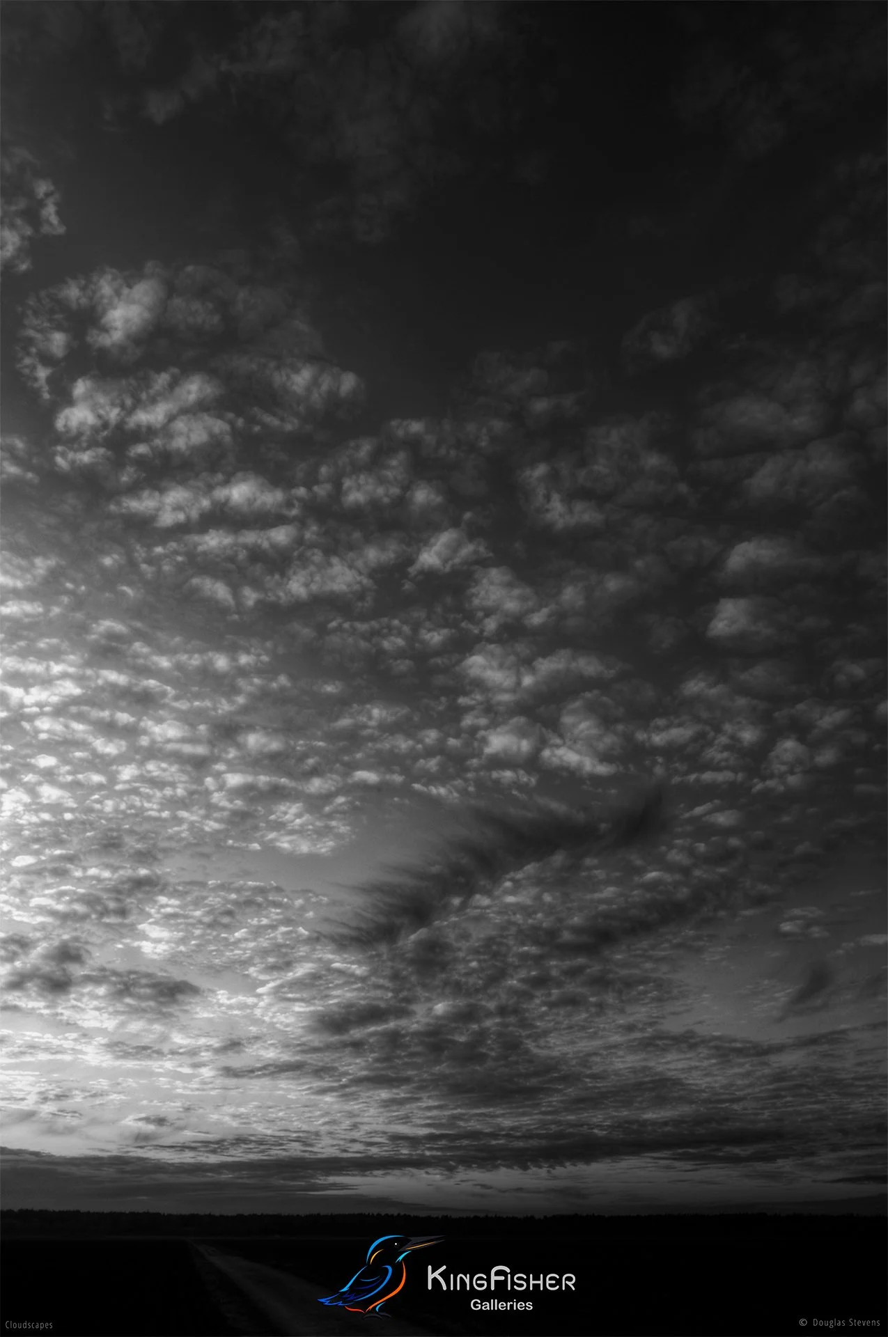 045_DST_Cloudscapes_2011_P_BW.jpg