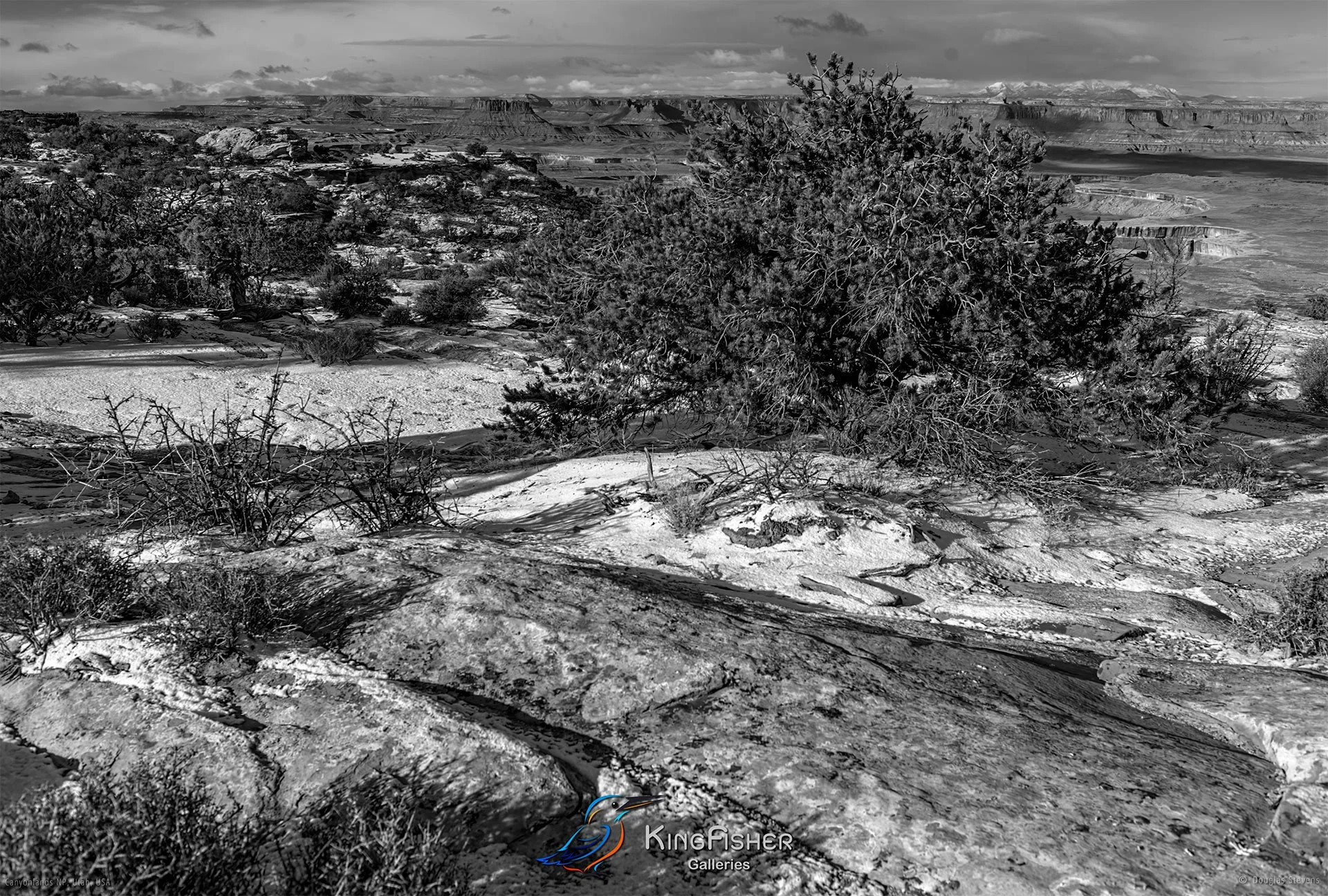 077_DST_Canyonlands_NP_UT_USA_2012_L_BW.jpg