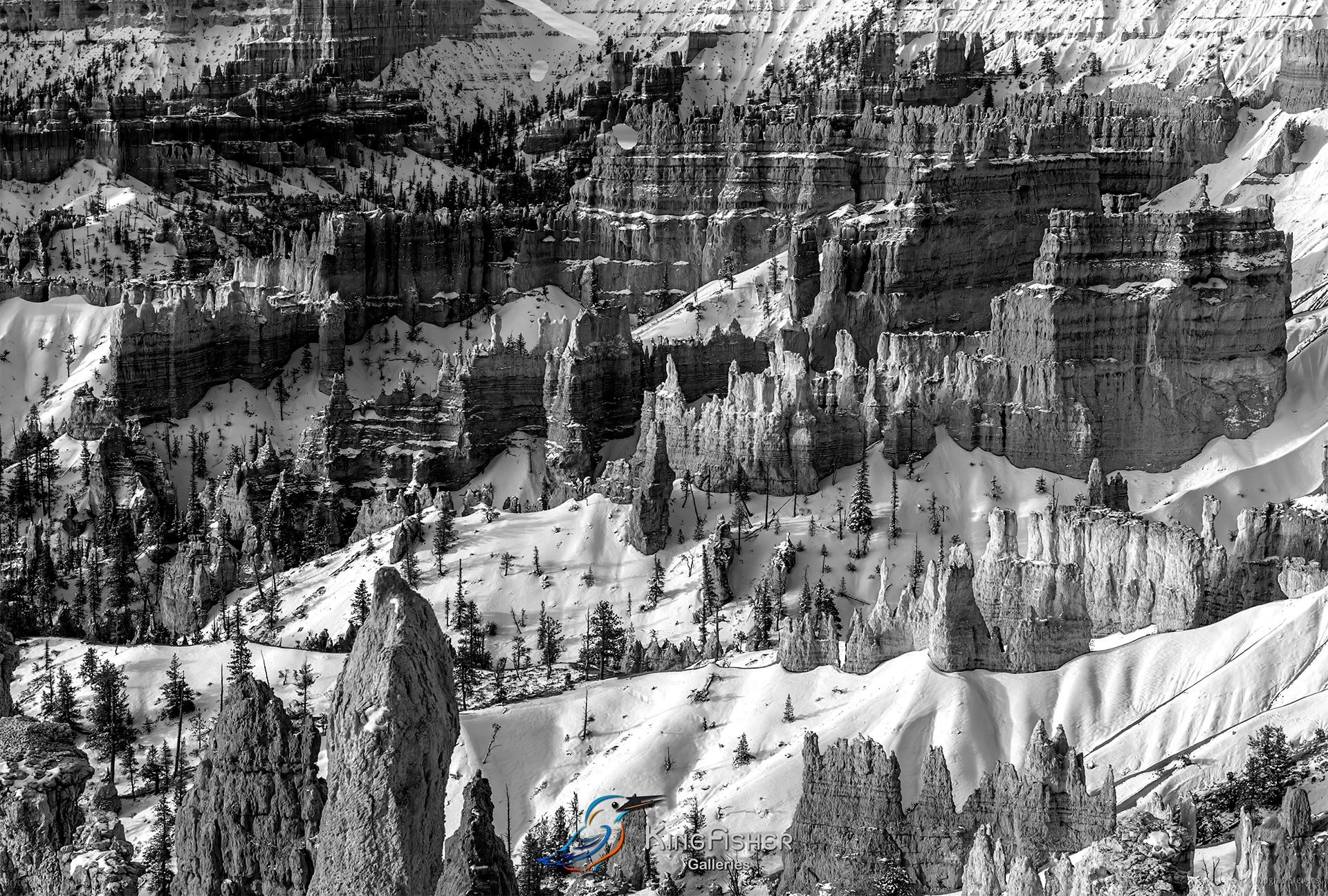 054_DST_Bryce_Canyon_NP_UT_USA_2012_L_BW.jpg