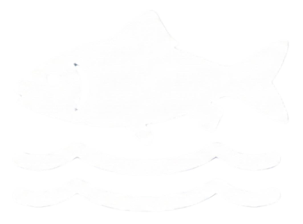Outline of a fish above two wavy lines representing water.