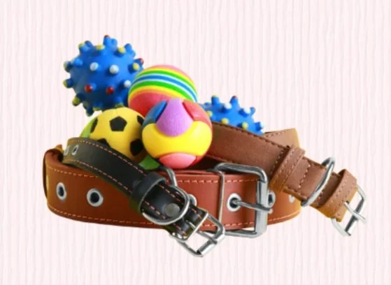 Brinquedos e Acessórios