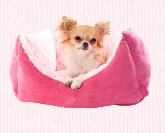 Caminhas e Cobertores