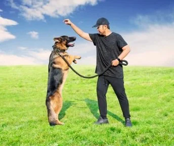 Recreação e Socialização