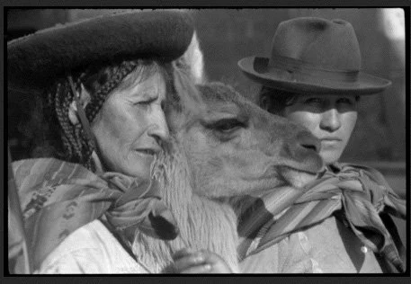 two weman  and a Lama in Cusco.jpg