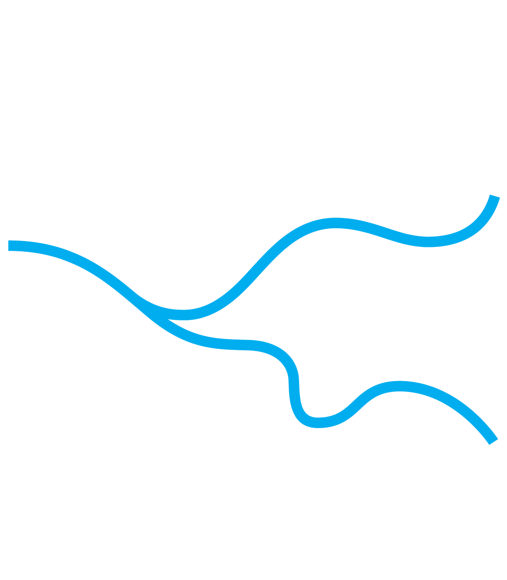 DBTRAF-white.png