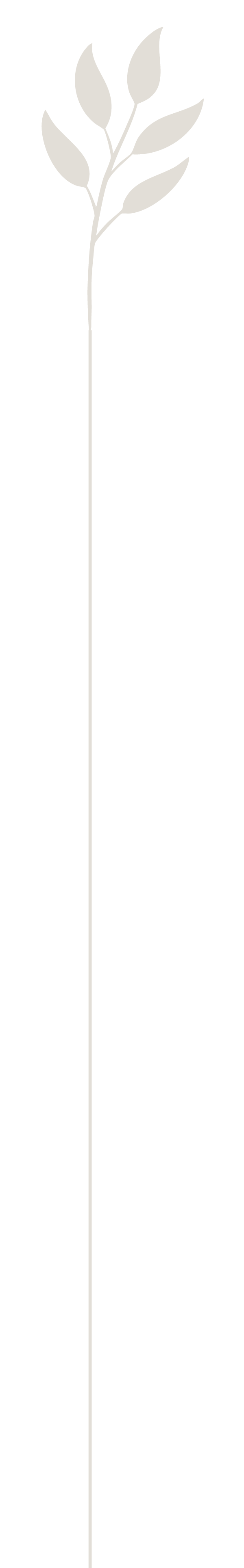 Minimalist leaf design