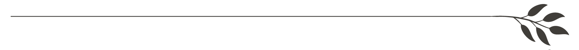 Decorative black banner with gray branch and leaves design