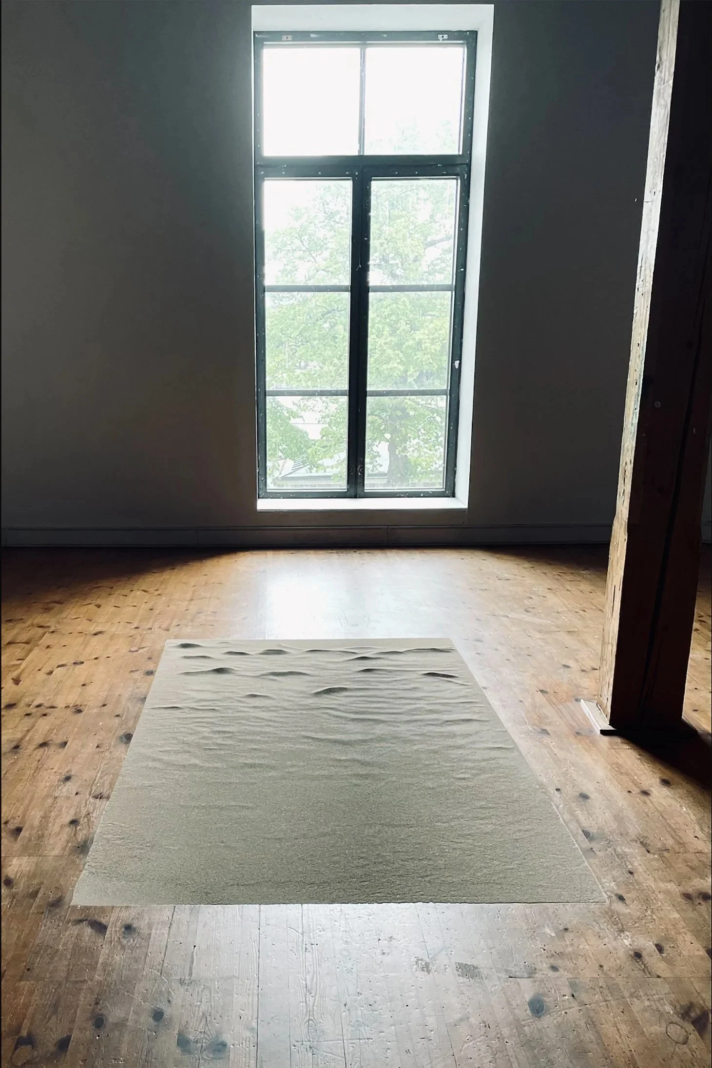 Empty room with large window showing green trees outside, hardwood floor, and a white rug on the floor.