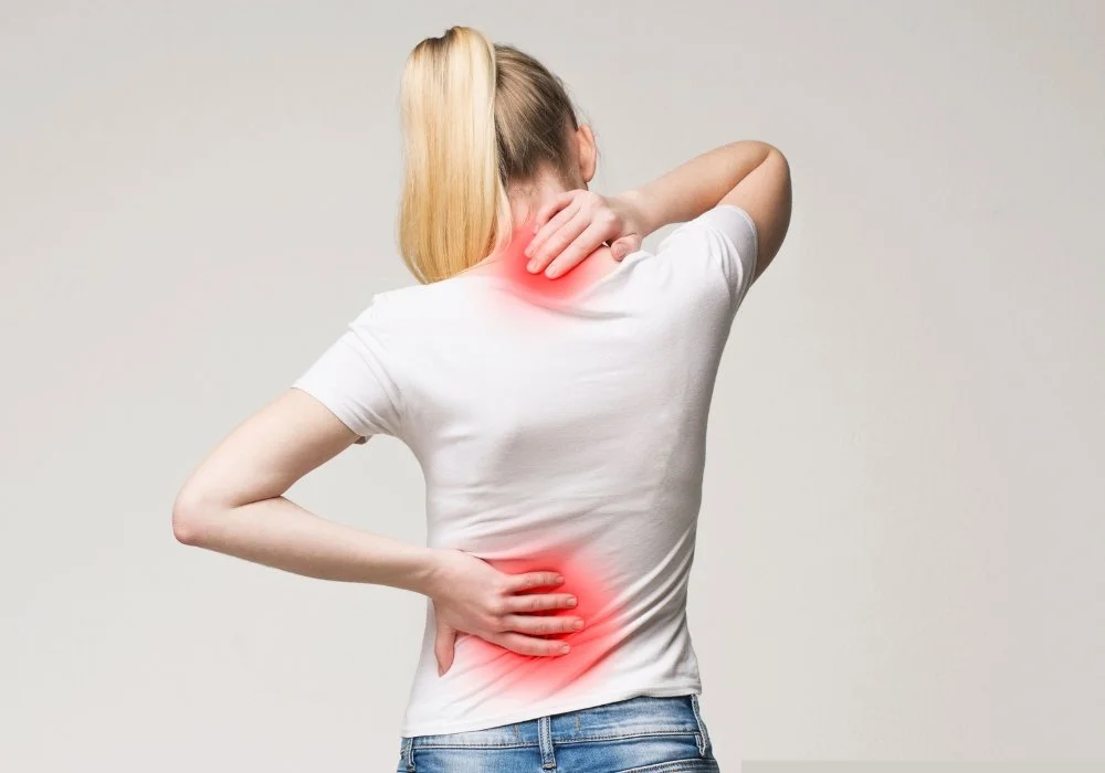 How a Chiro Near Sydenham Assesses Spinal Dysfunction