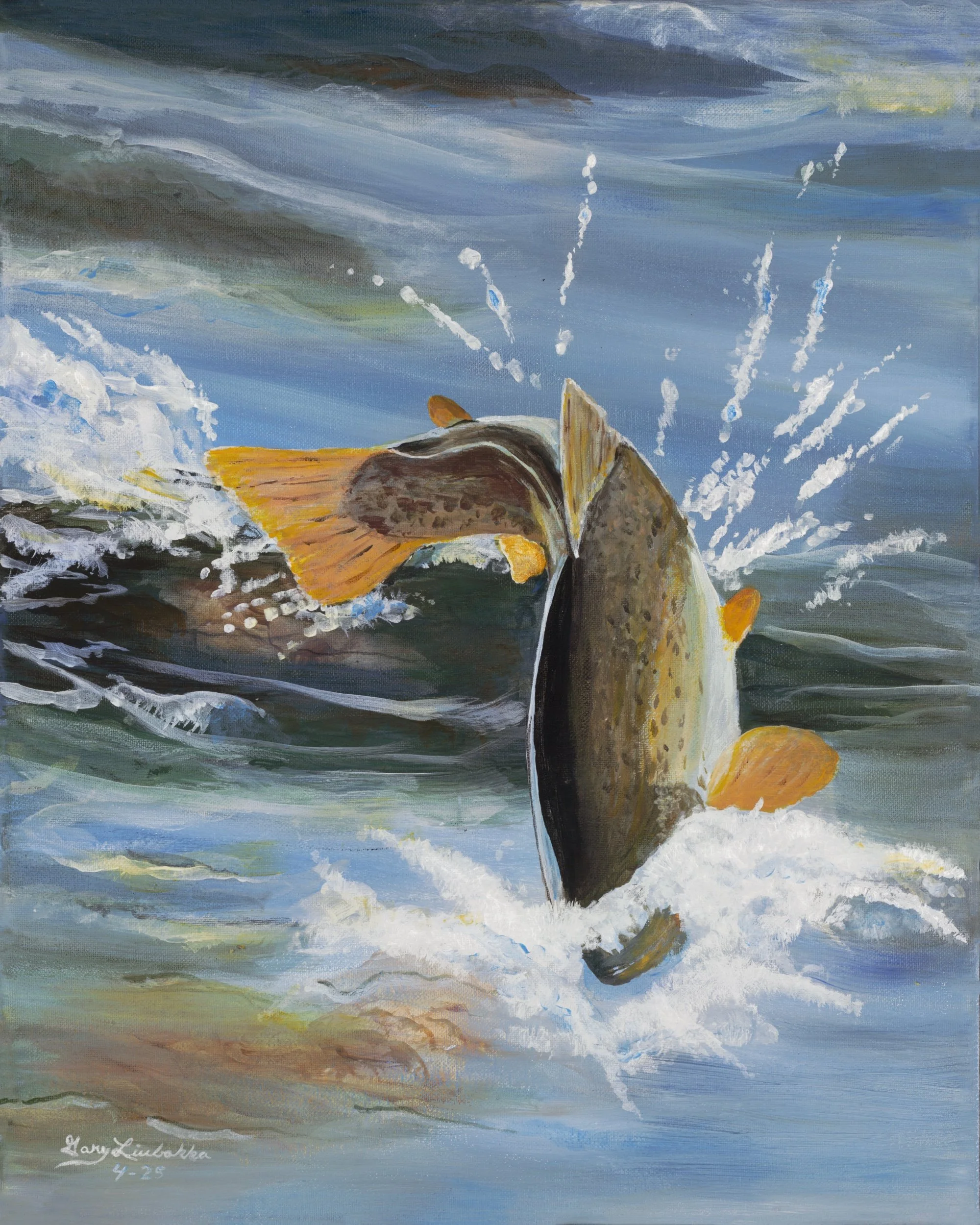 Wise Old Creek Brown Trout by Gary Liubakka — brown trout splashing through blue creek water