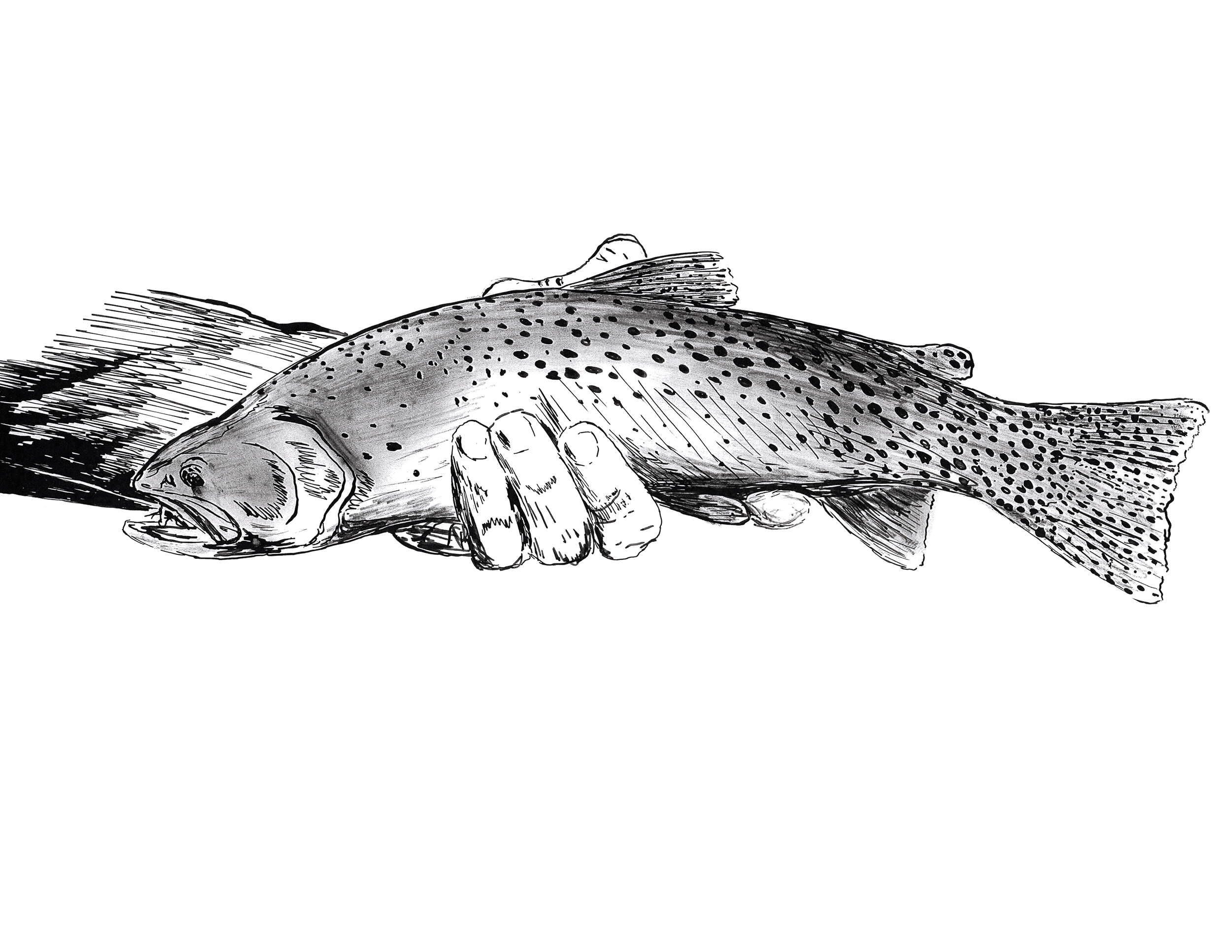 The River’s Reward