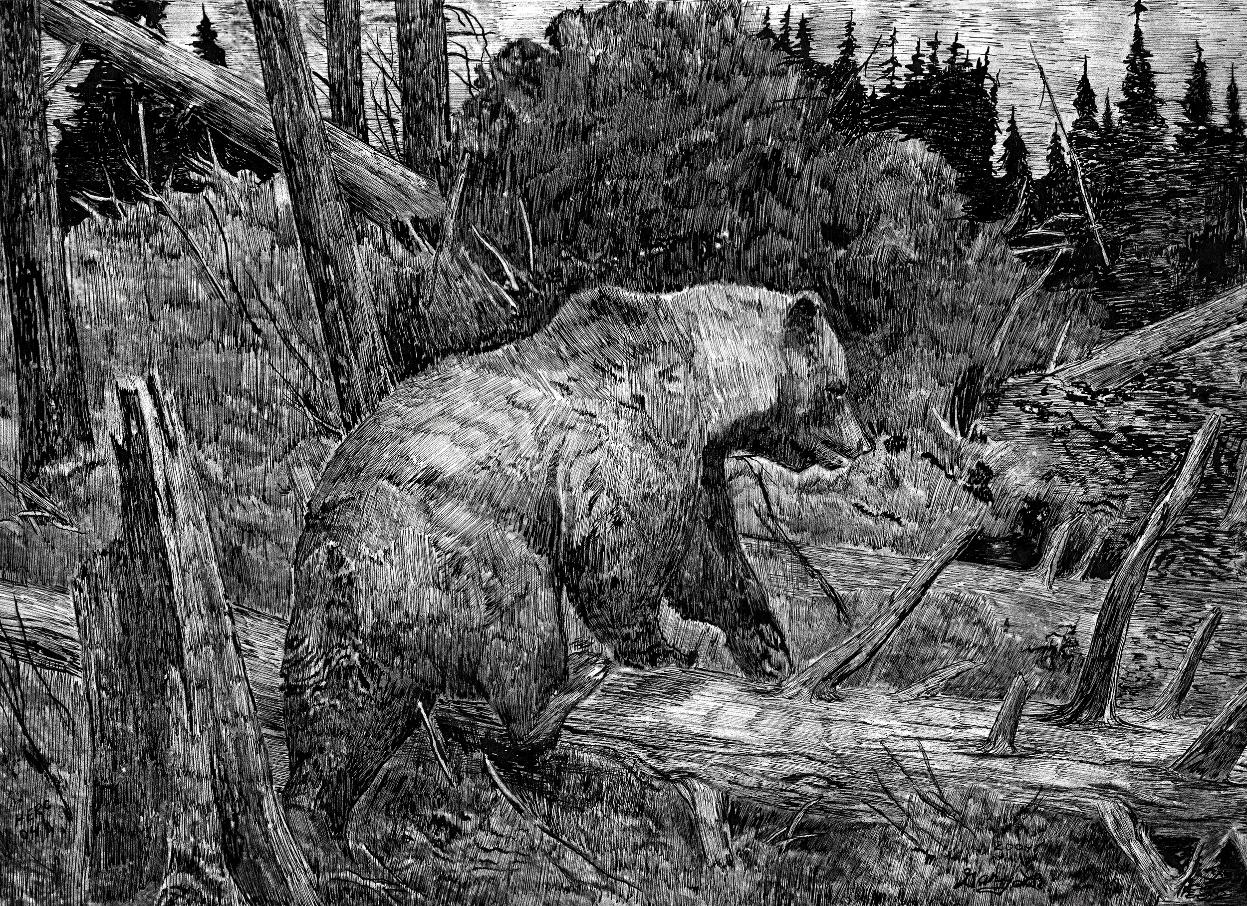 Through the Deadfall
