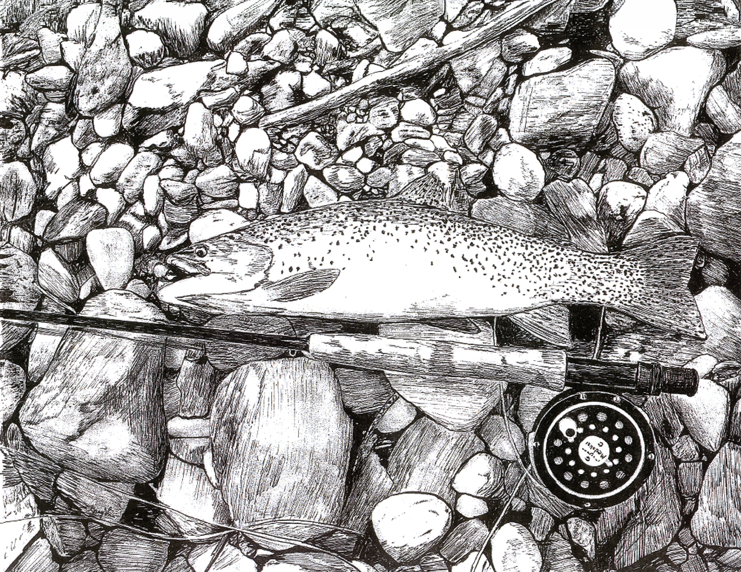 Among River Stones