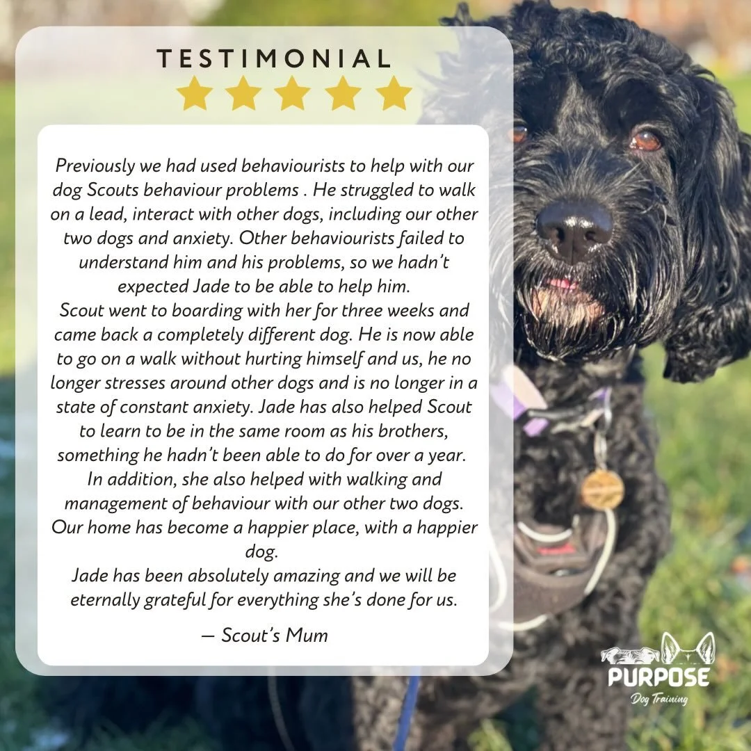 Another client Testimony ❤️