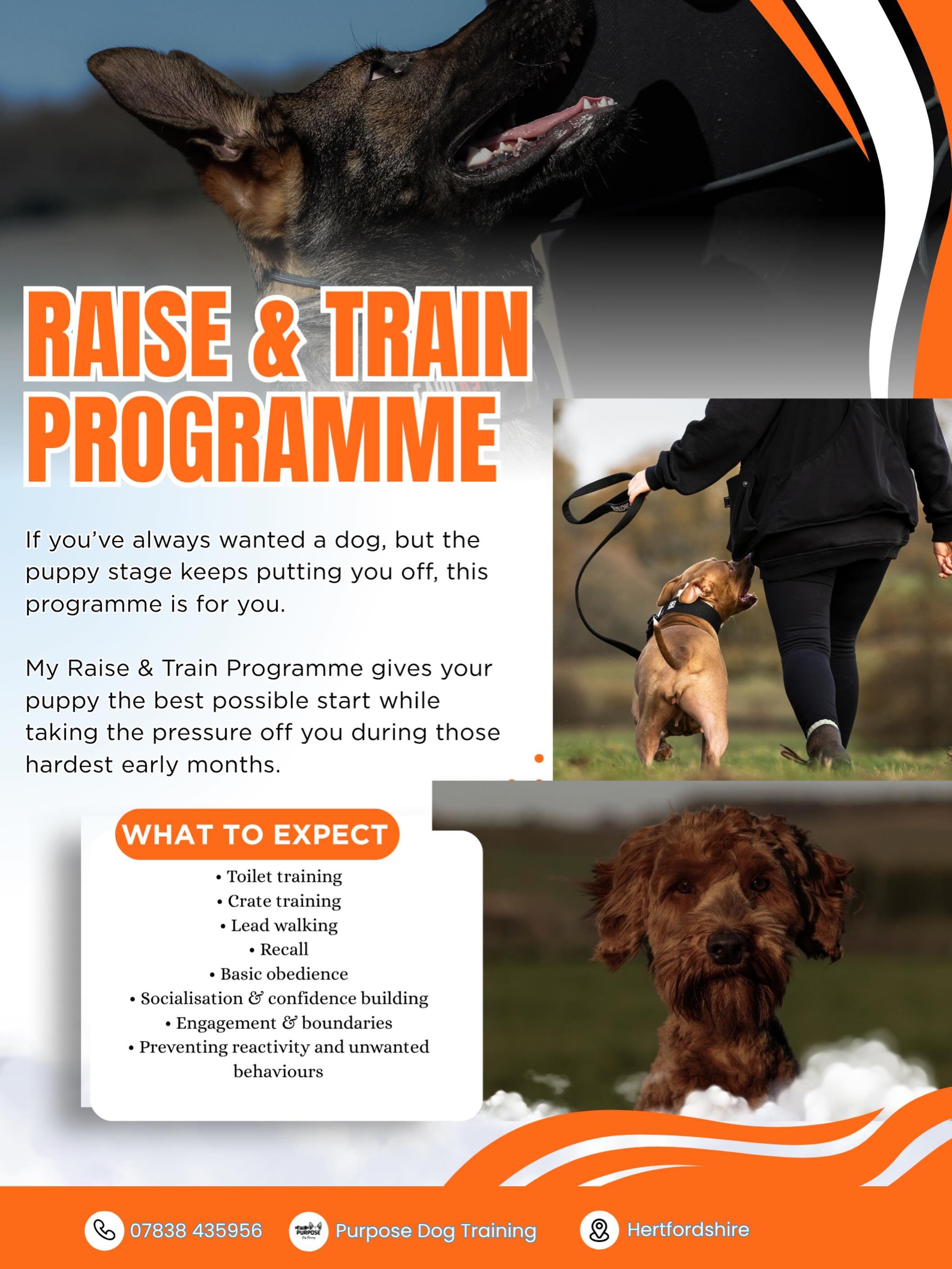 The puppy stage is HARD 😅

The sleepless nights, toilet accidents, biting, chaos and constant supervision can put so many people off getting the dog they&rsquo;ve always wanted&hellip;

But it doesn&rsquo;t have to.

With my Raise &amp; Train Progra
