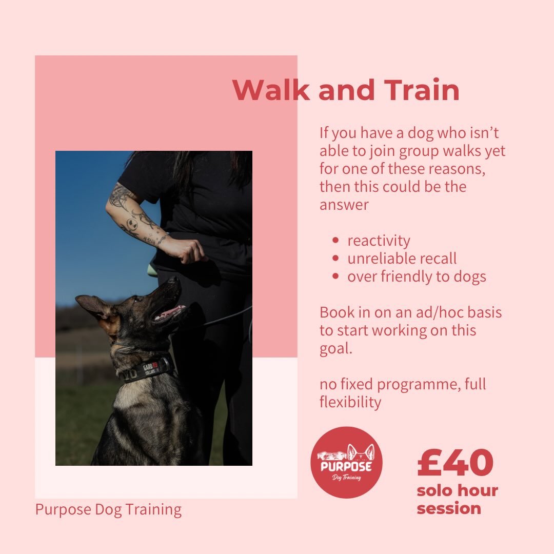 We know that training can be expensive, so we are officially opening spaces for our &lsquo;walk and train&rsquo; service. 

These are hour sessions with just me and the dog, working on building up to be able to go on group walks. 

No fixed agreement