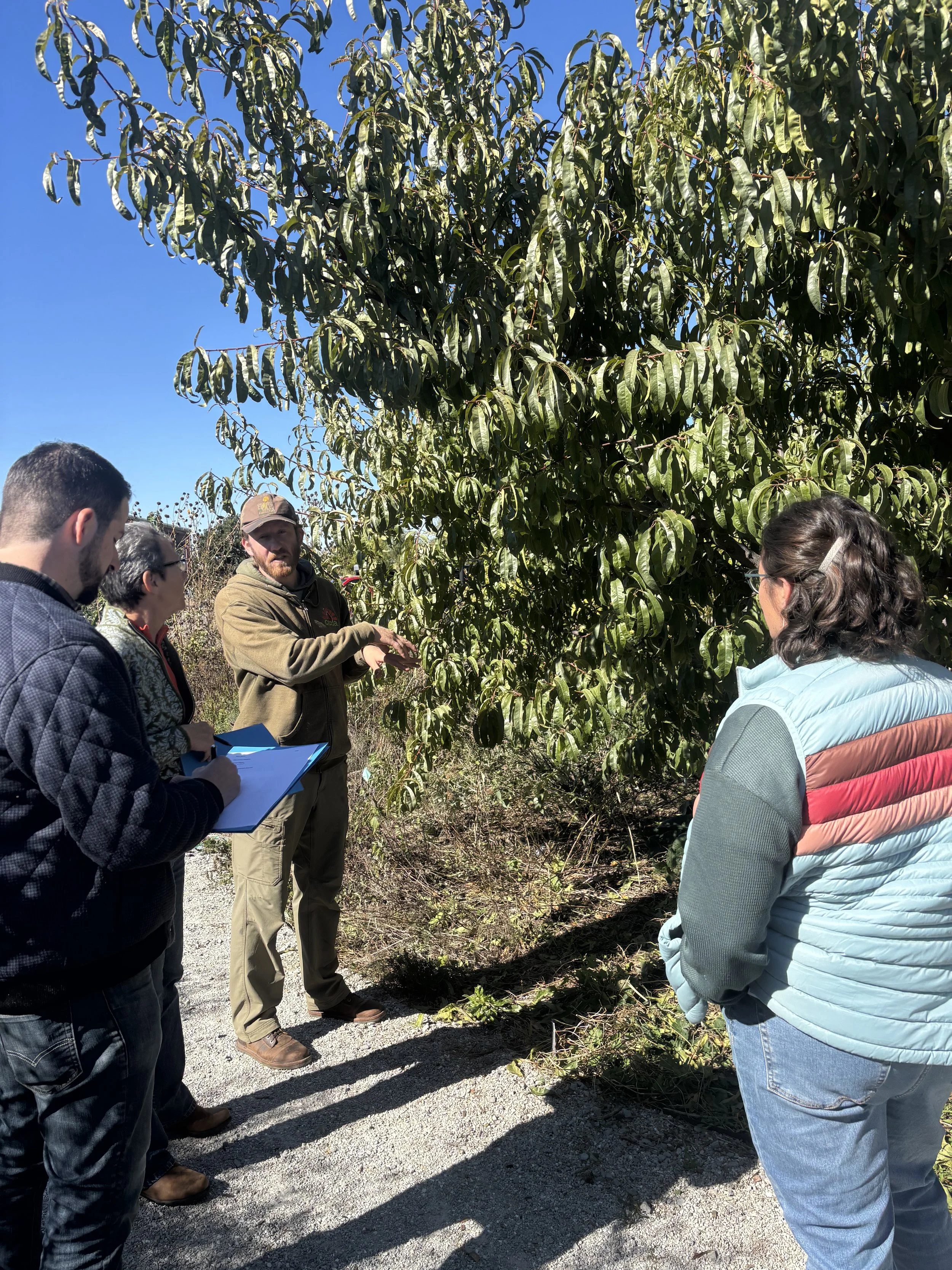 Conservation coordinators converse with a farmer next to a tree