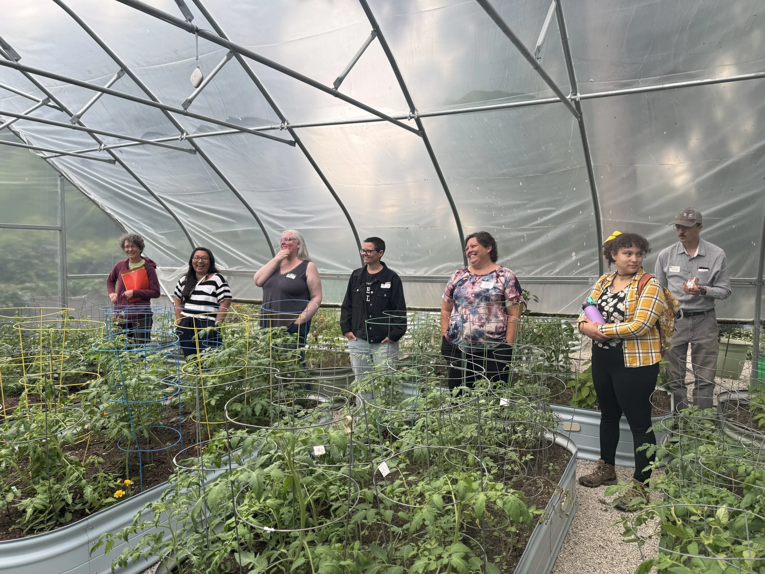A tour group stands inside a tomato greenhouse
