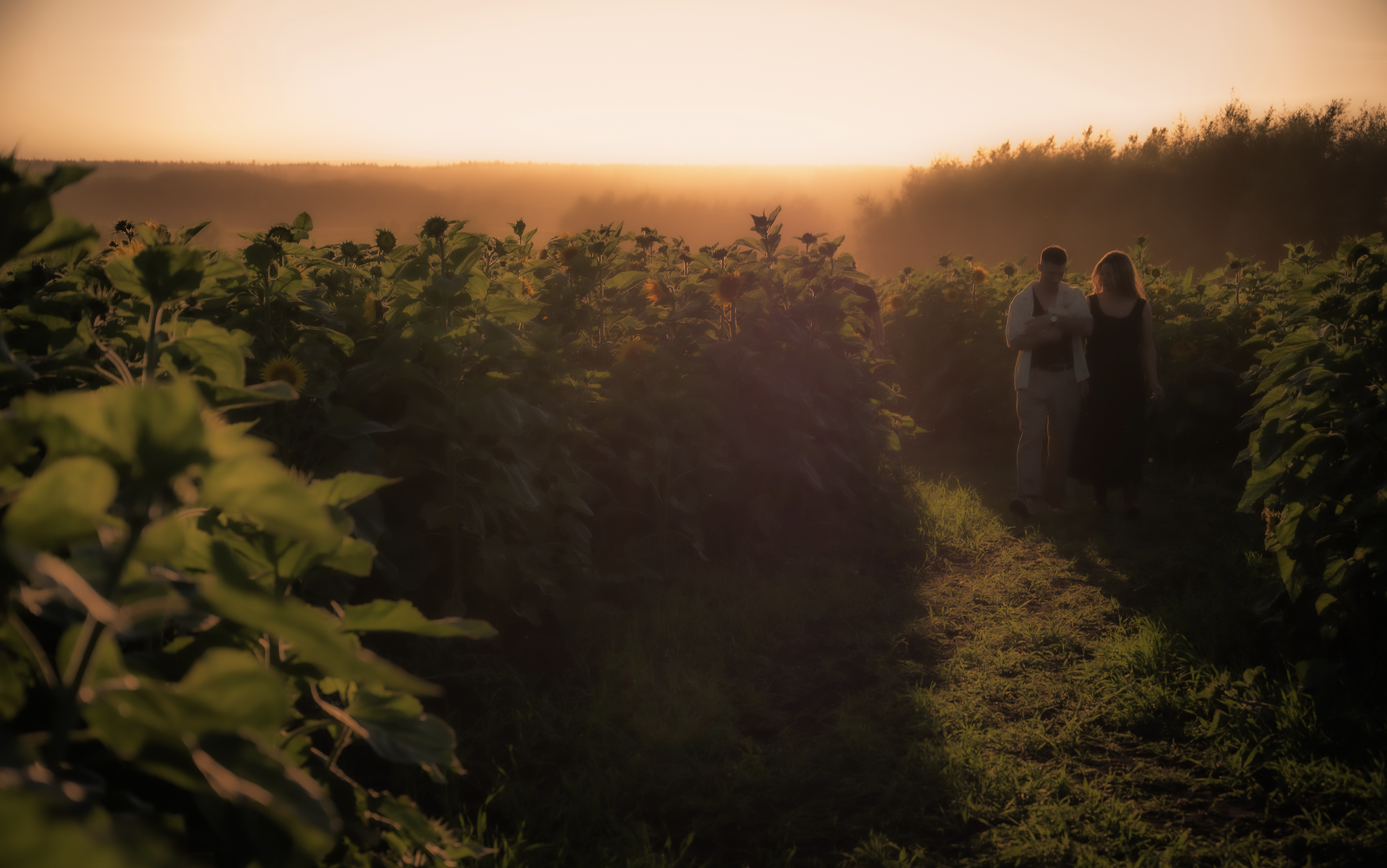 Two people walking through a sunflower field during sunset.
