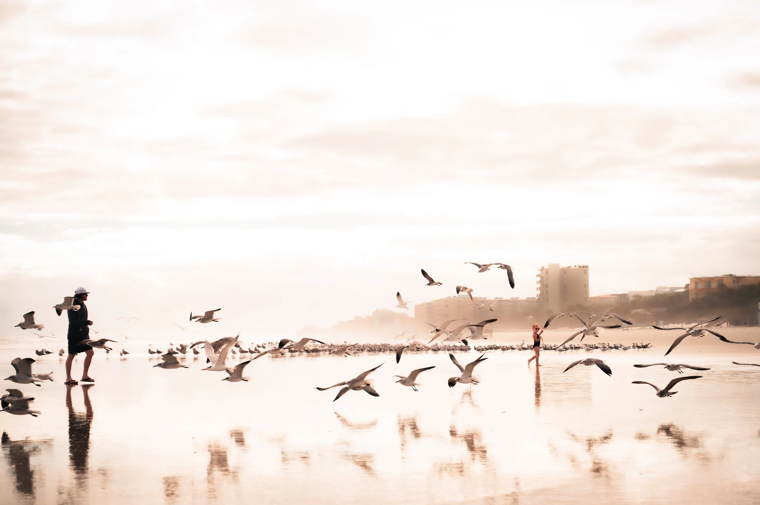 Two people on the beach, one on the left and one on the right, surrounded by flying seagulls with buildings in the background, a cloudy sky overhead, and the wet sand reflecting the scene.