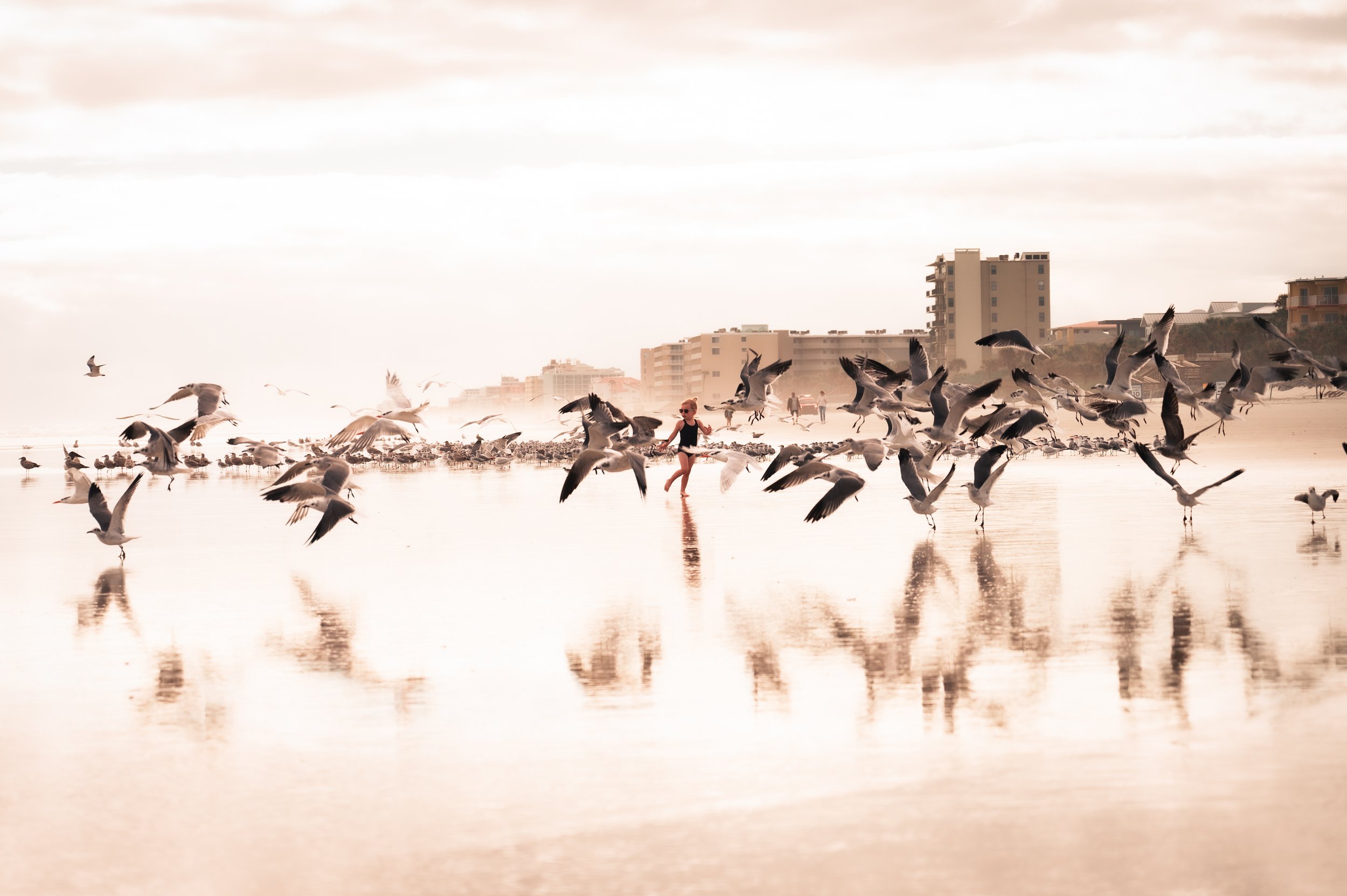 A person standing in the shallow water at the beach surrounded by many seagulls in flight and on the ground, with city buildings in the background under a cloudy sky.